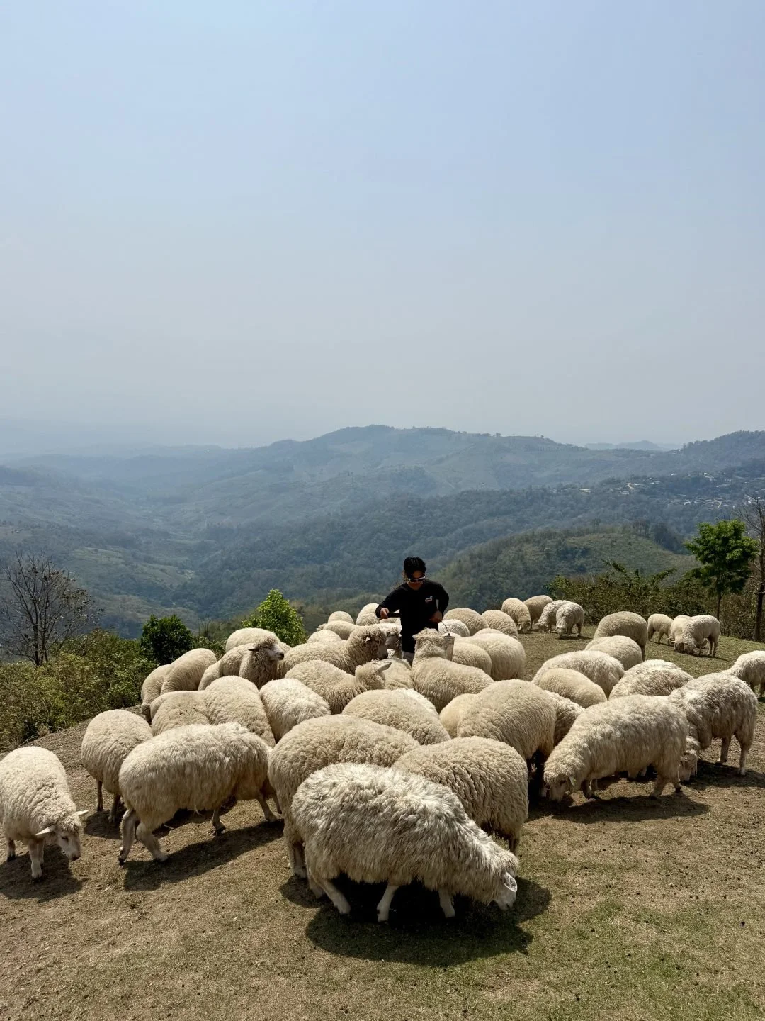 2 Week Thailand Itinerary - Northern Route
