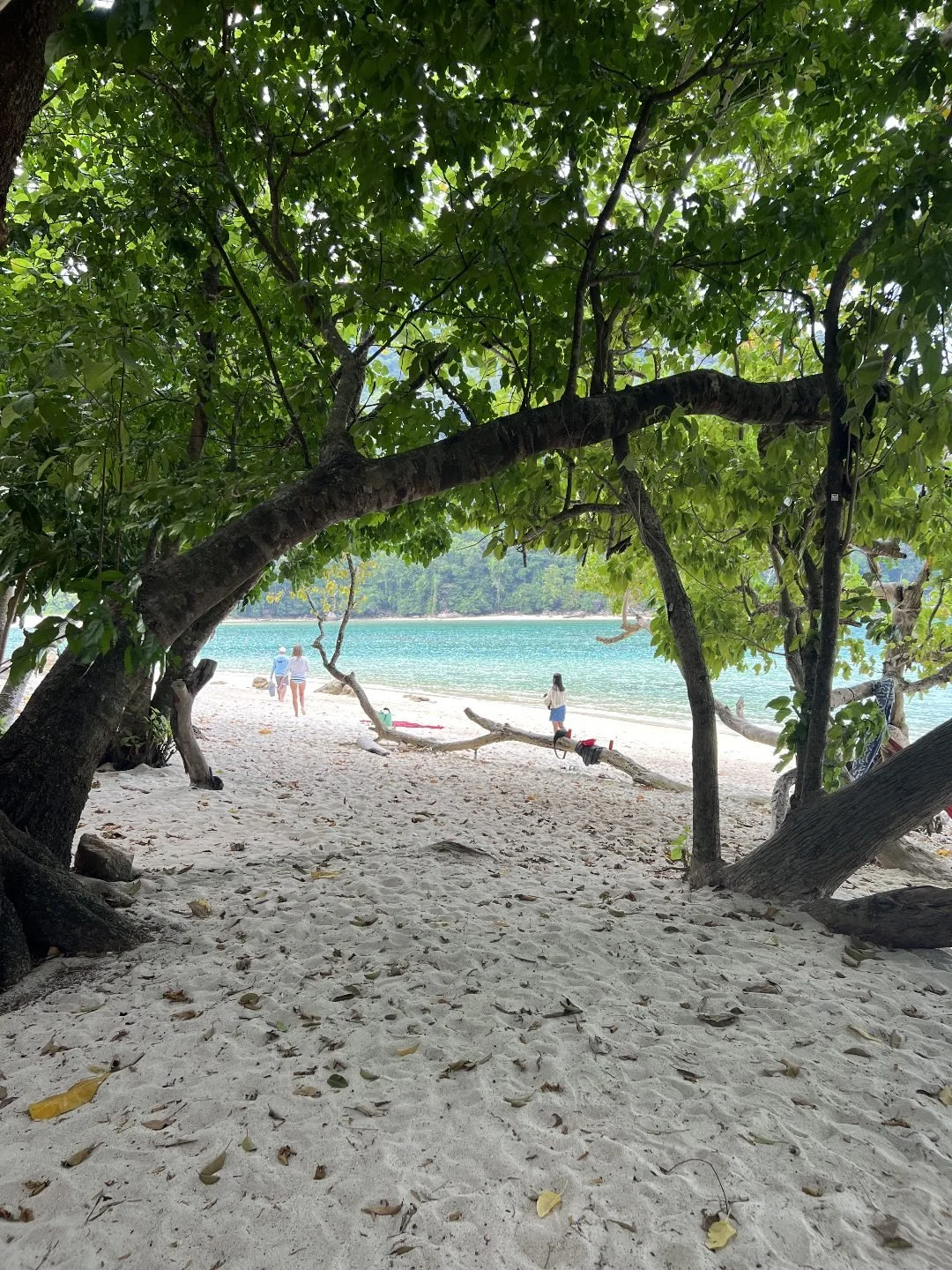 Surin Islands - Unique Beaches