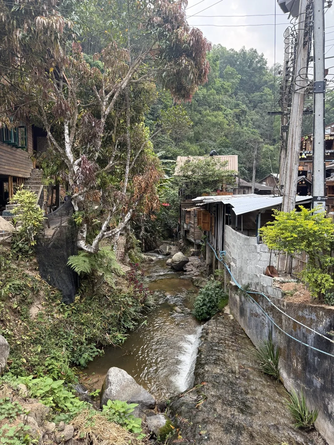Mae Kampong - Streams