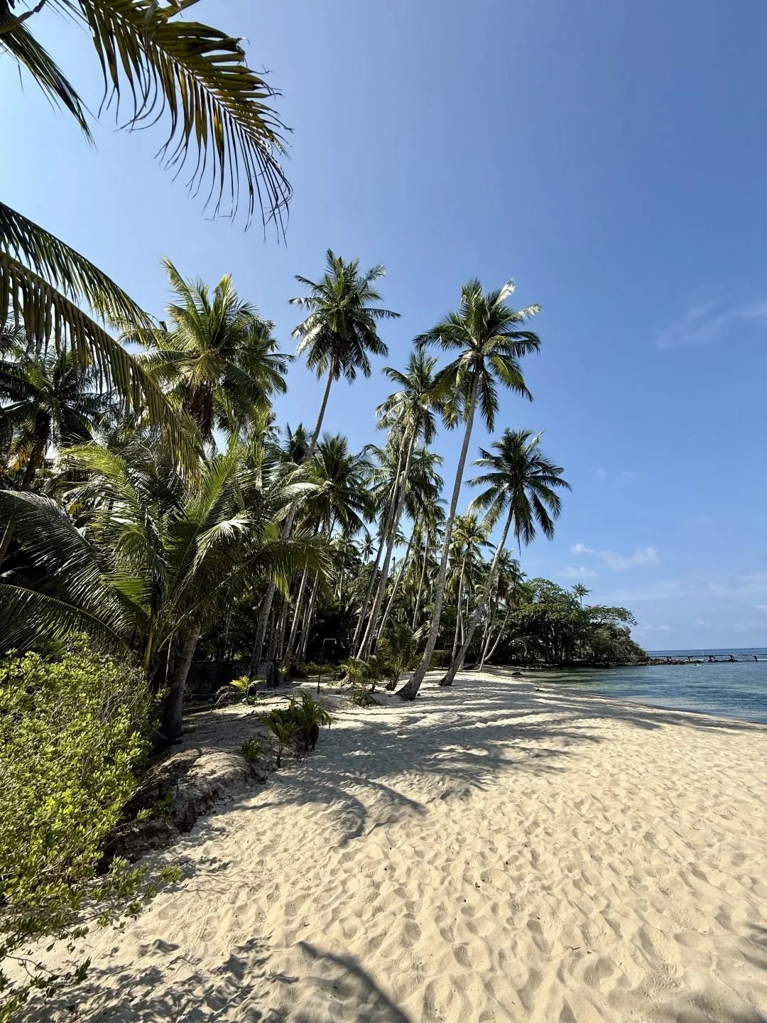Best Time to Visit Thailand - How to Avoid the Rain