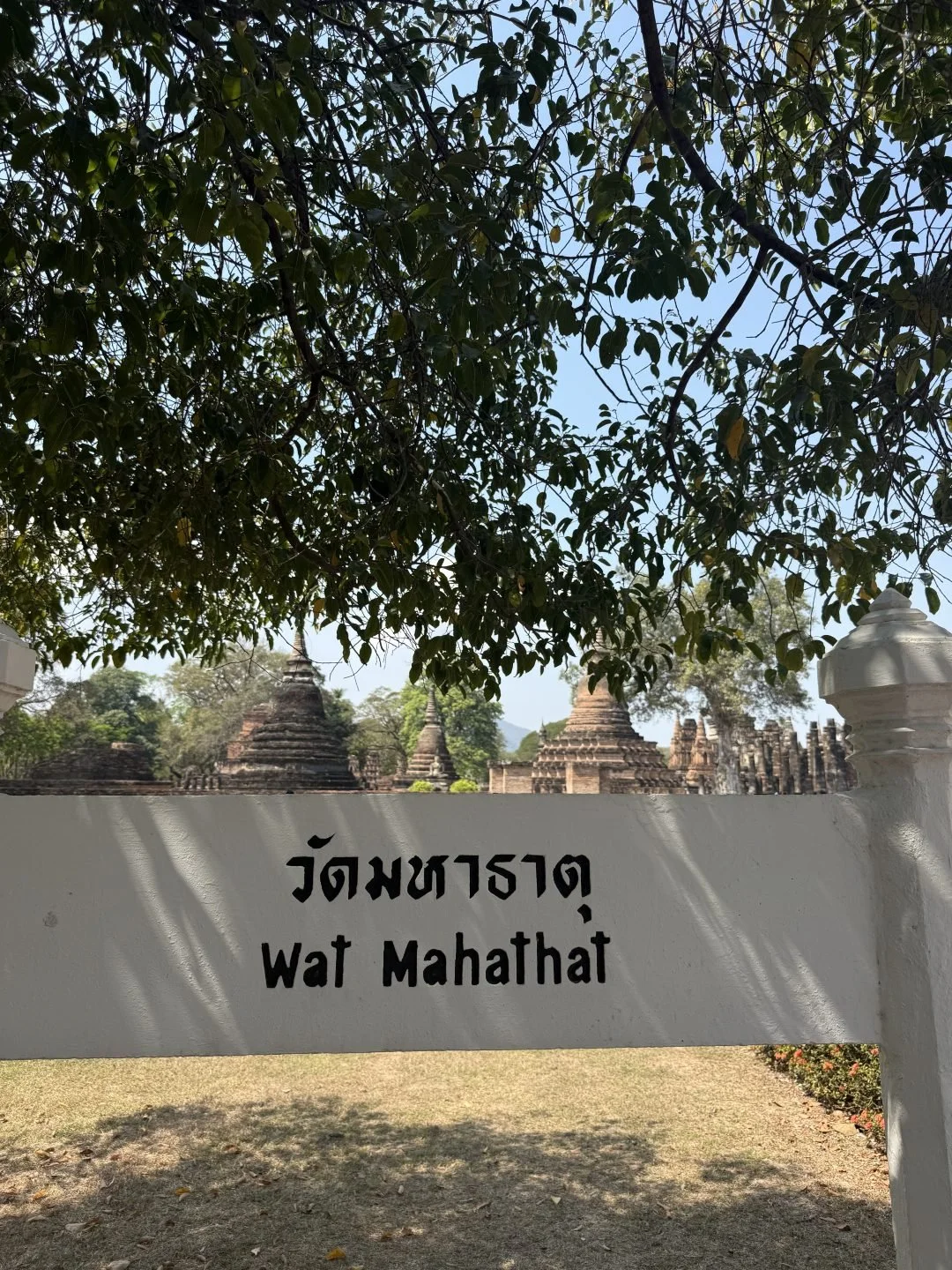Ayutthaya vs Sukhothai - Wat Mahathat