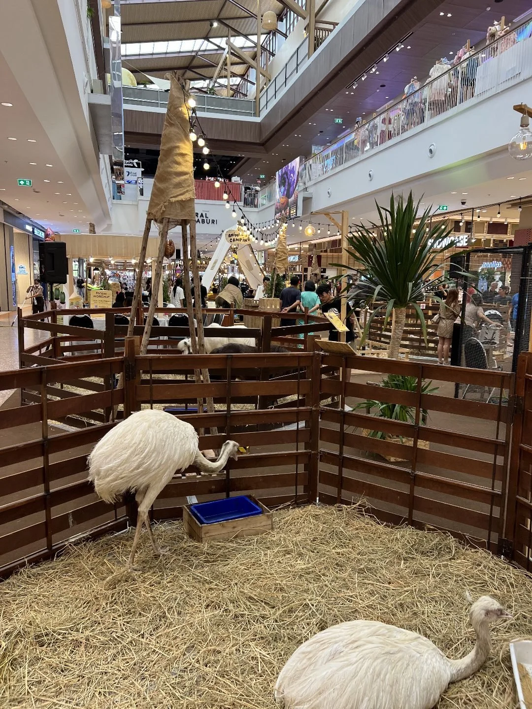 Central Chanthaburi Mall