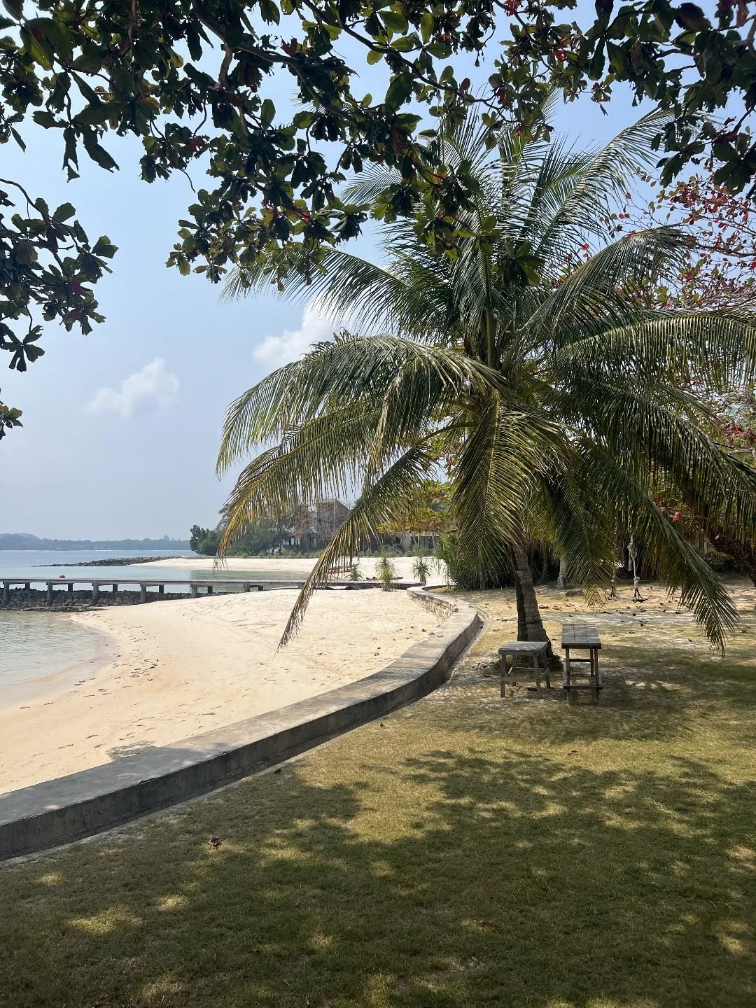 Koh Kham - Palm Trees