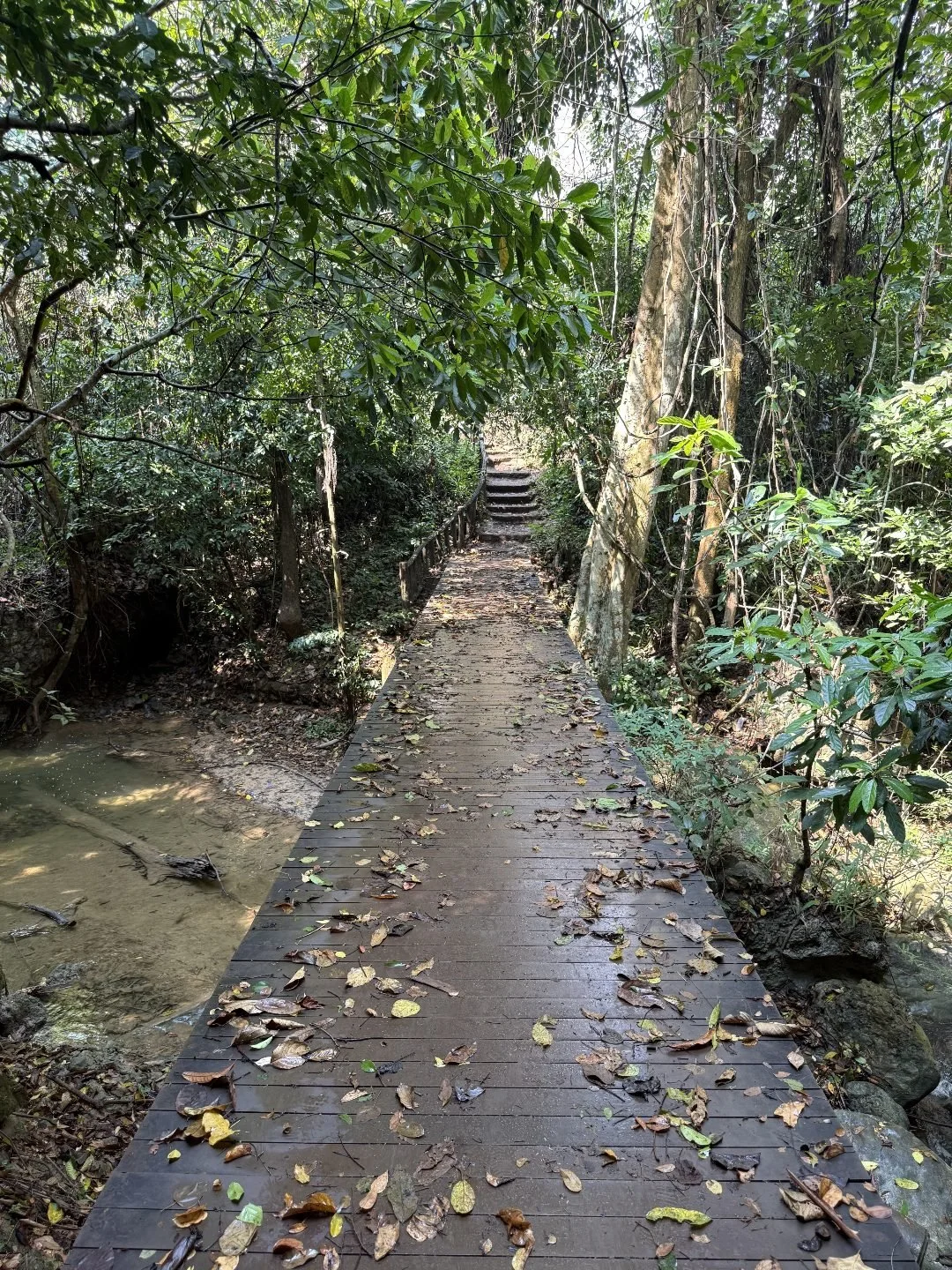 Erawan National Park - Bridge