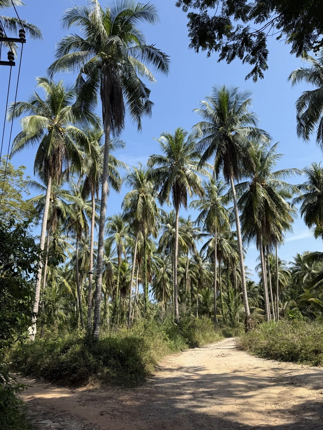 Koh Kood Dirt Roads