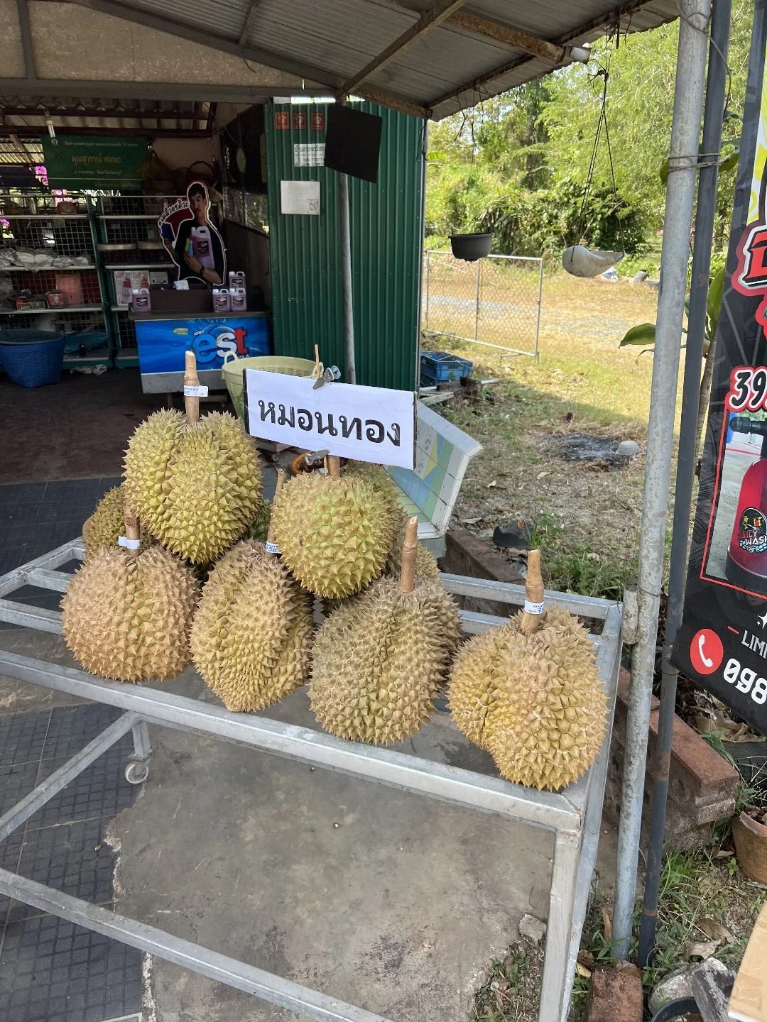 Chanthaburi - Durian - Roadside Stall