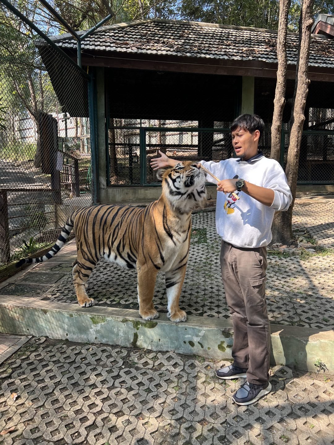 Thailand Travel Tips - Ethical Animal Sanctuaries
