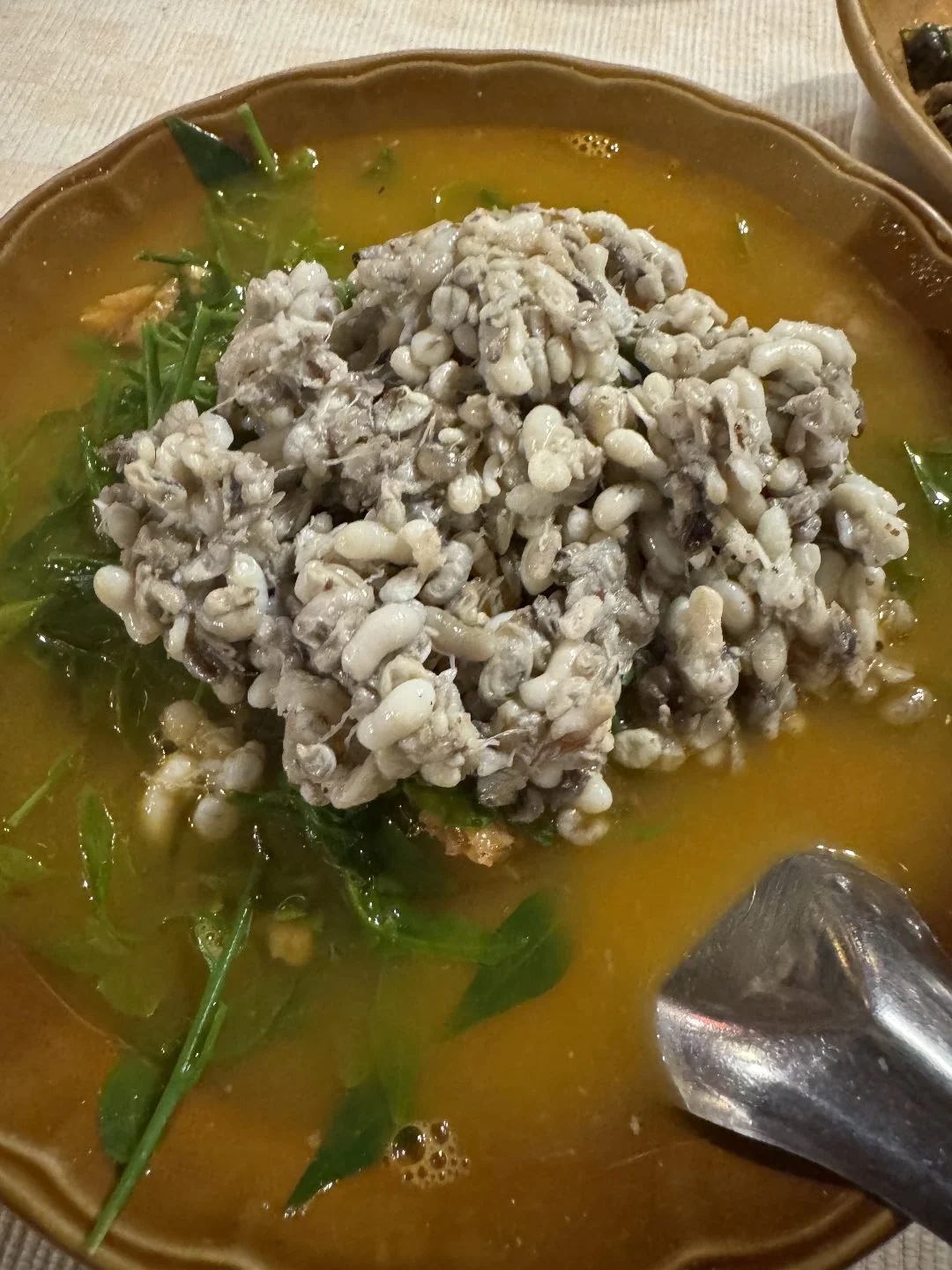 Red Ant Egg Soup - Chiang Mai