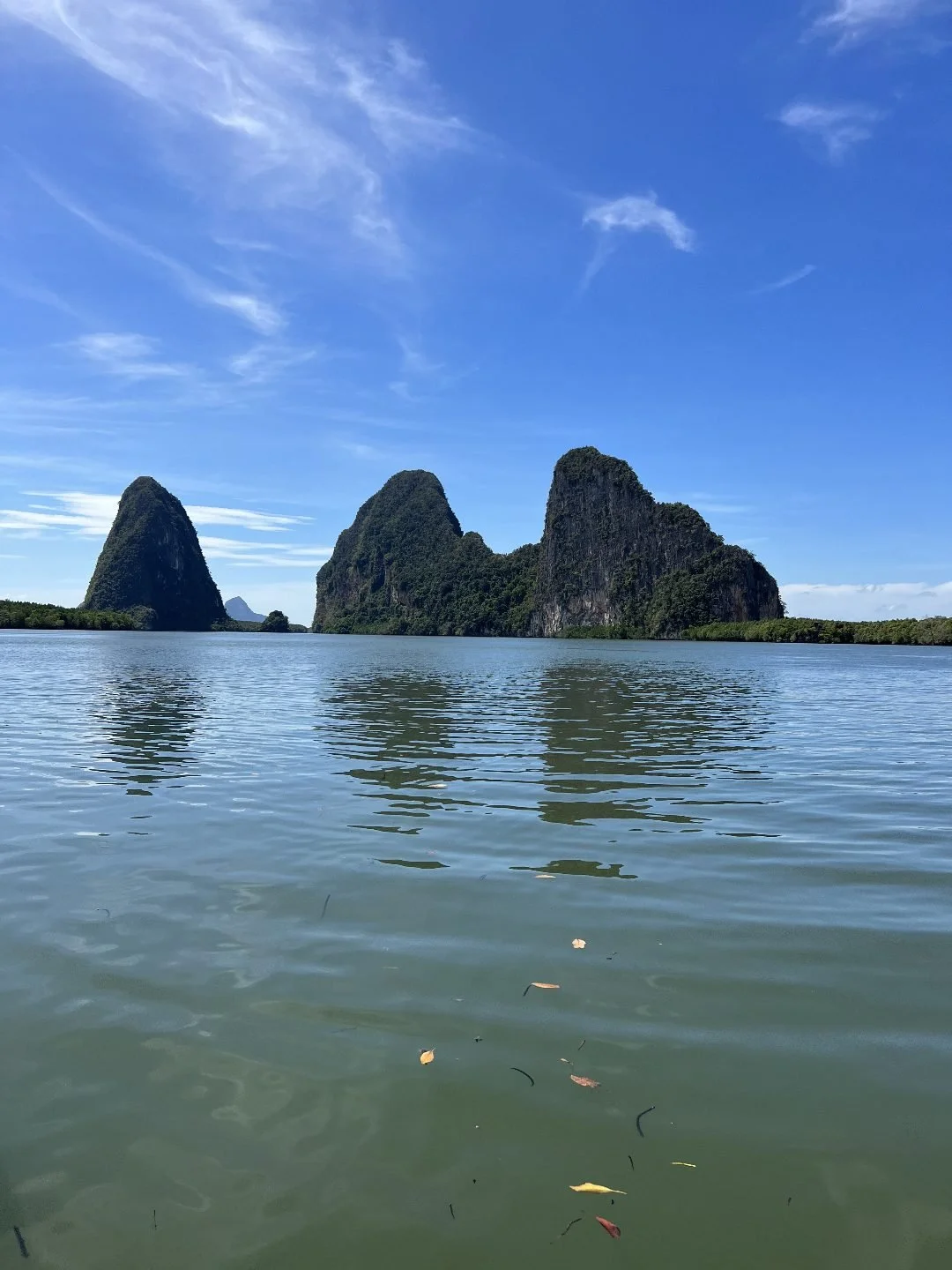 Ko Panyi - Mangrove Waterways