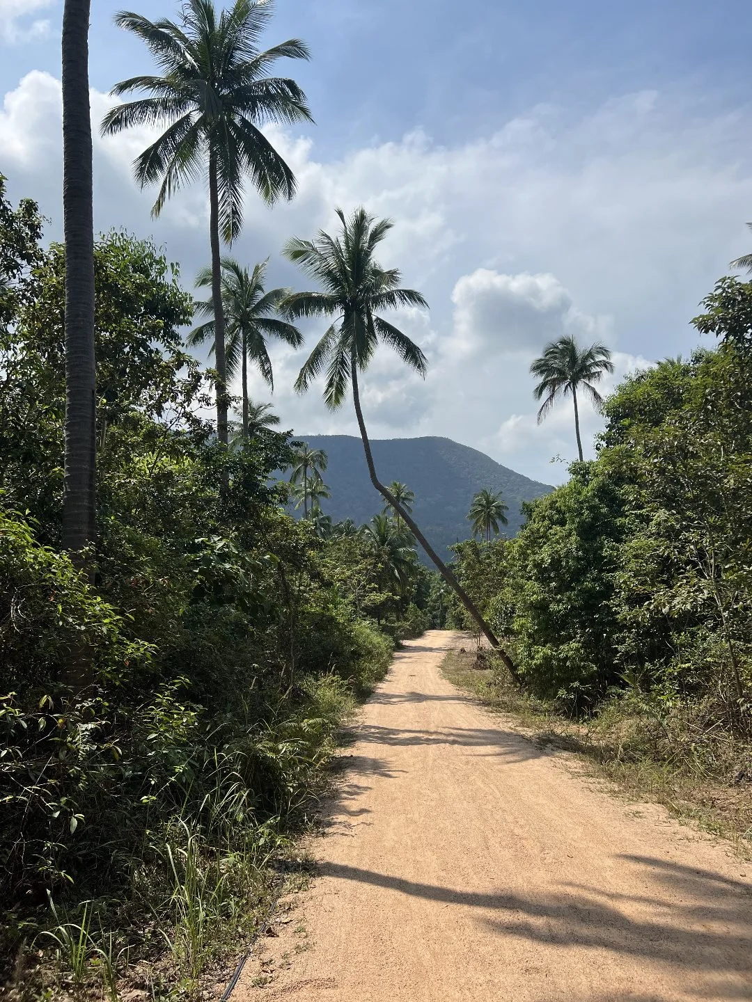 Bottle Beach Viewpoint - Dirt Roads