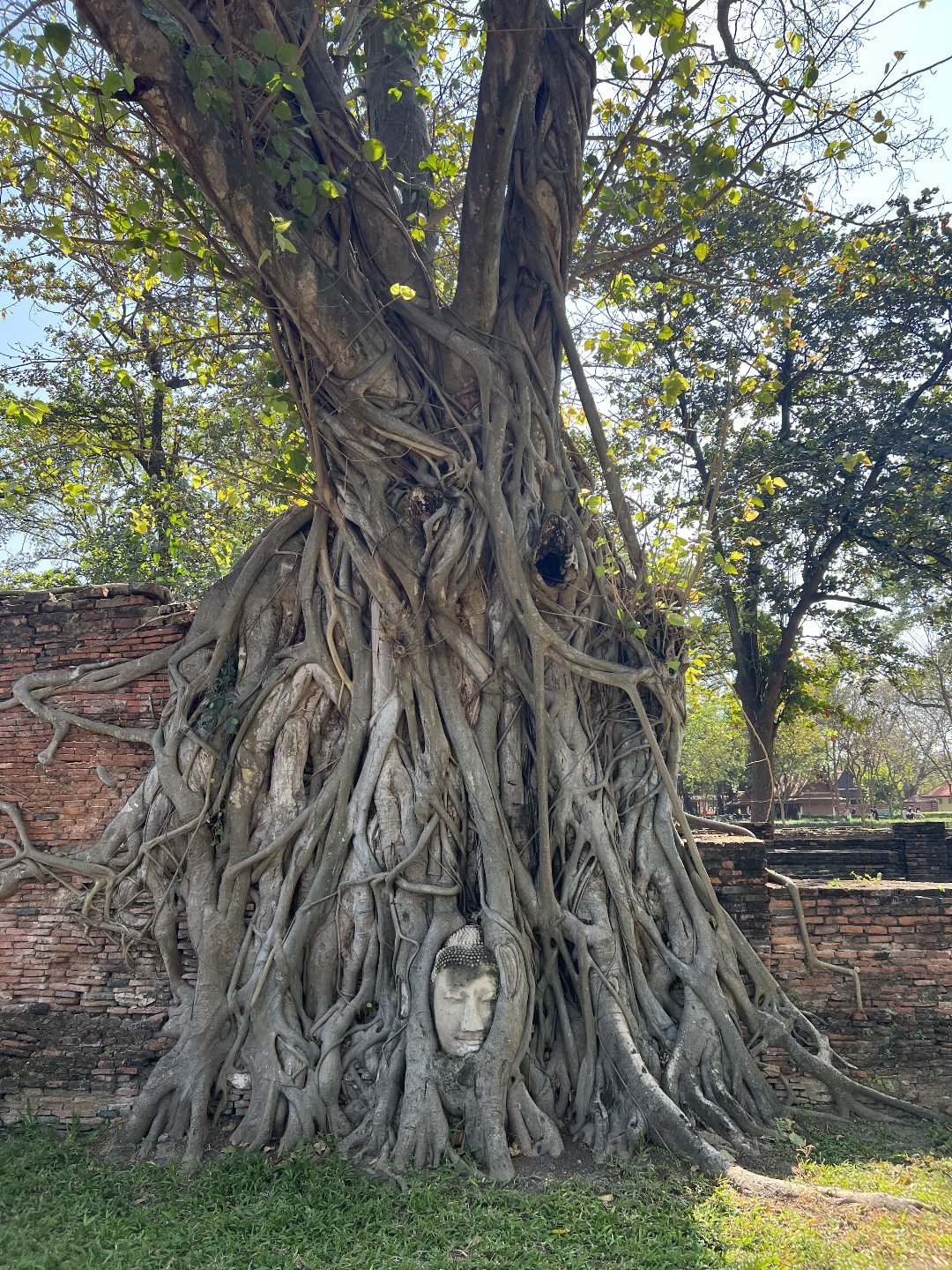 Wat Mahathat in Ayutthaya - Best Temples in Thailand