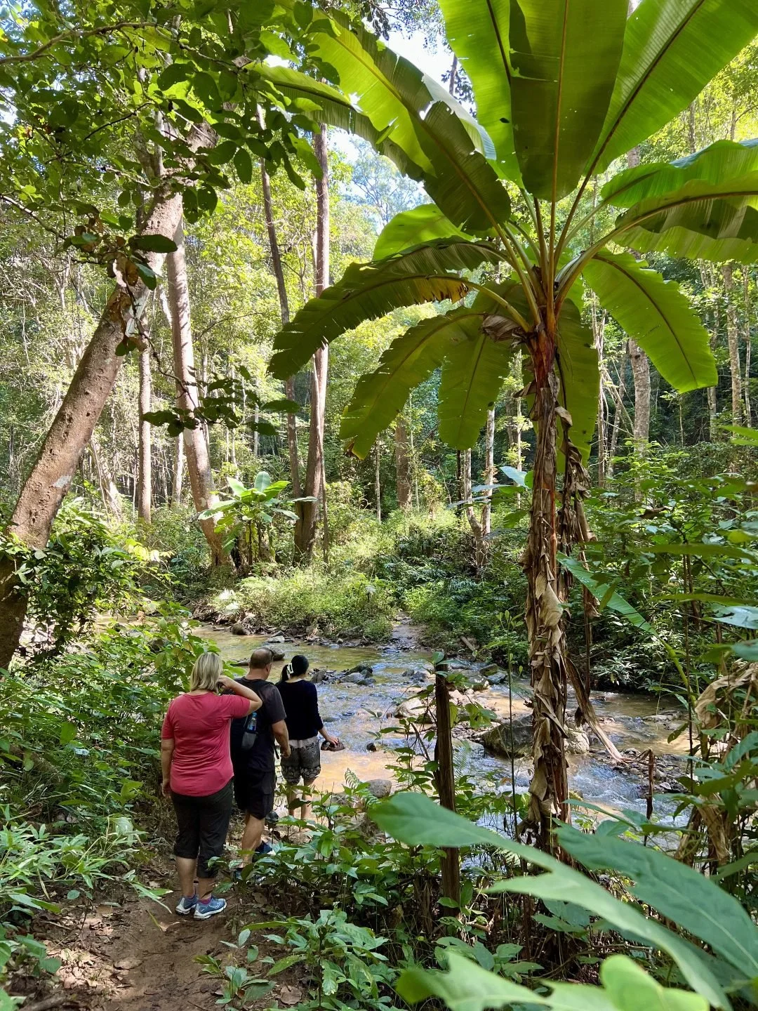 Mae Hong Son Loop - Mae Yen Waterfall Hike