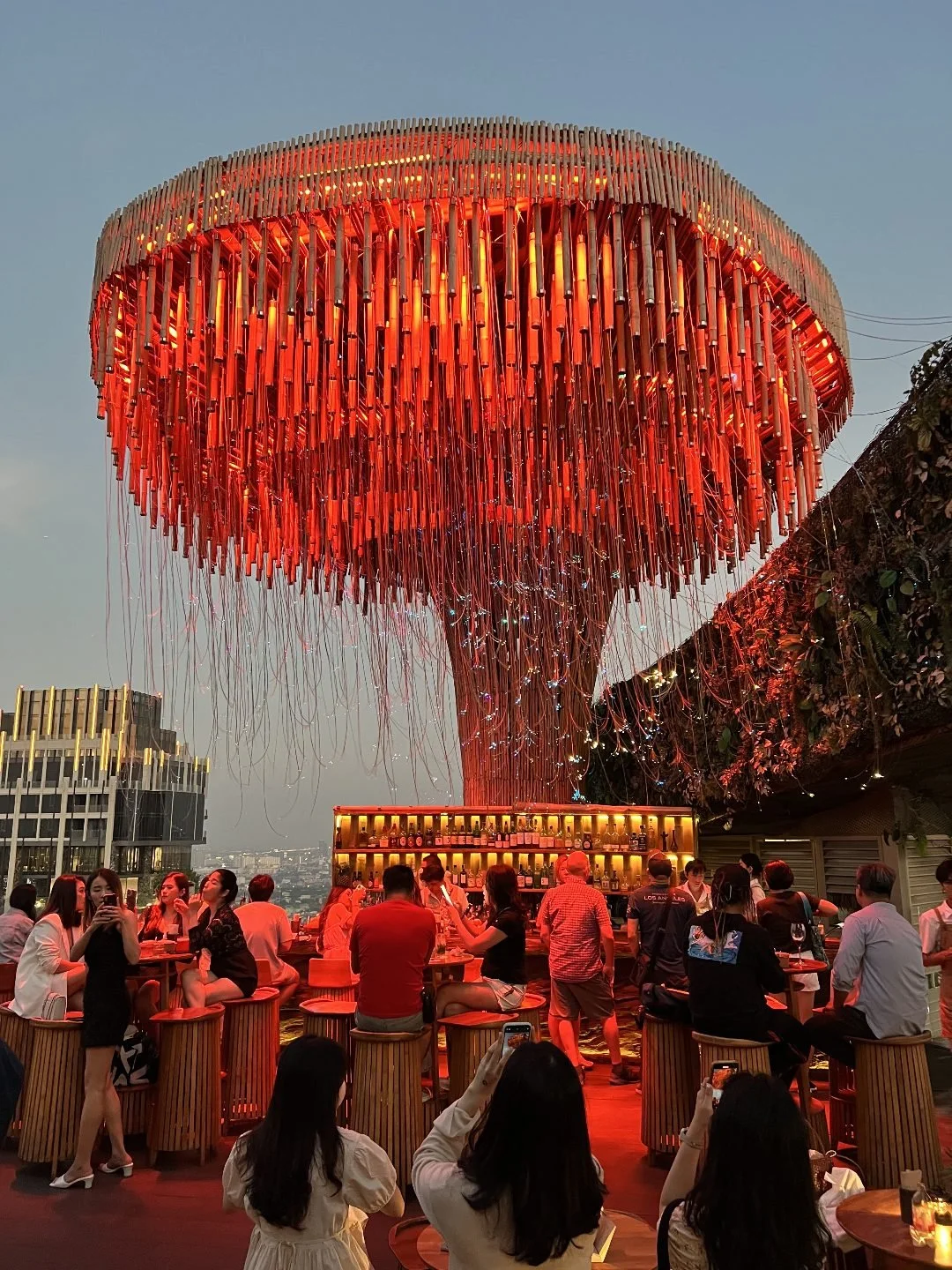 Tichuca Rooftop Bar - Avatar Tree Orange