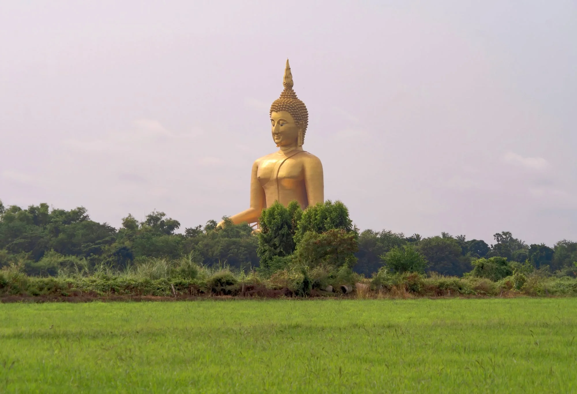 Best Temples in Thailand - Wat Muang