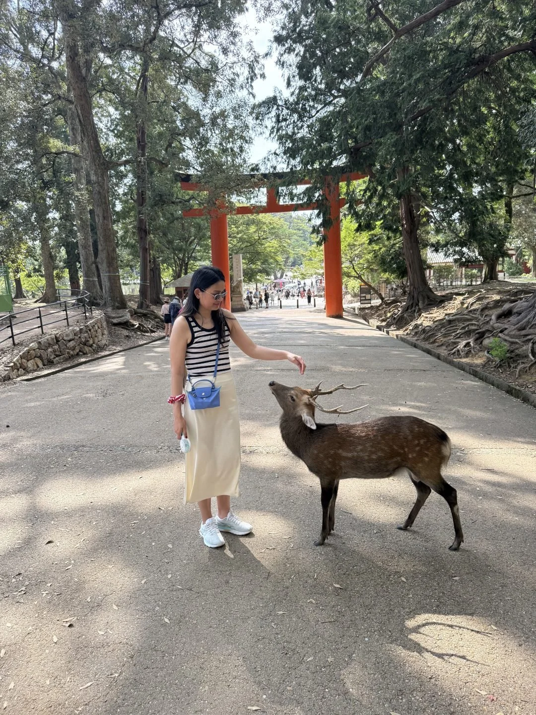 Thailand vs Japan - Bowing Deer