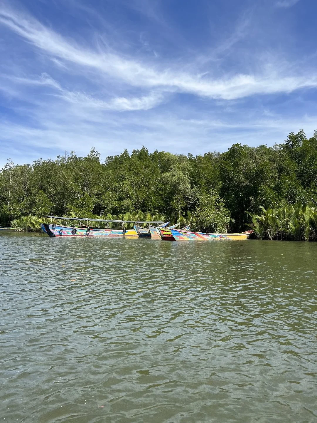 Ko Panyi - Mangroves