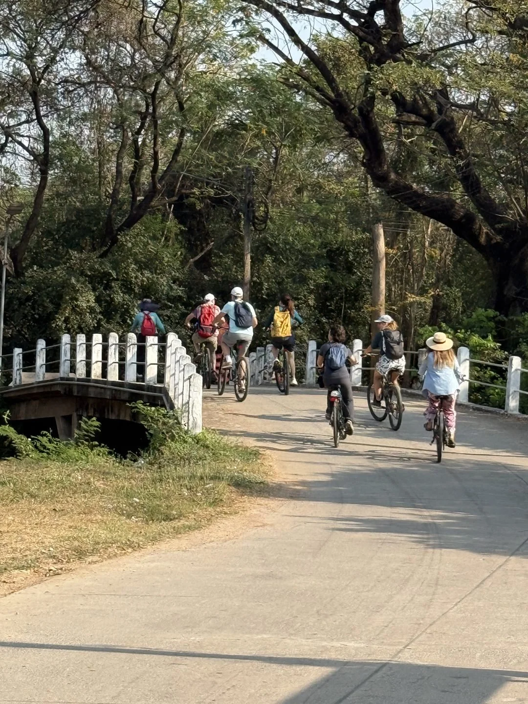 Wat Si Chum - Cycling Tour