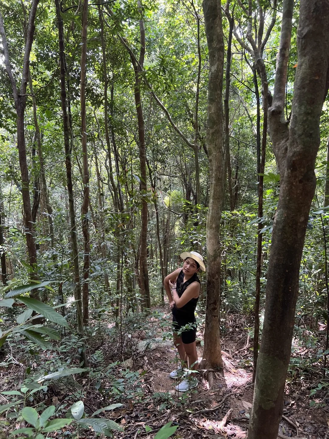 Bottle Beach Viewpoint - Jungle Hill Hike