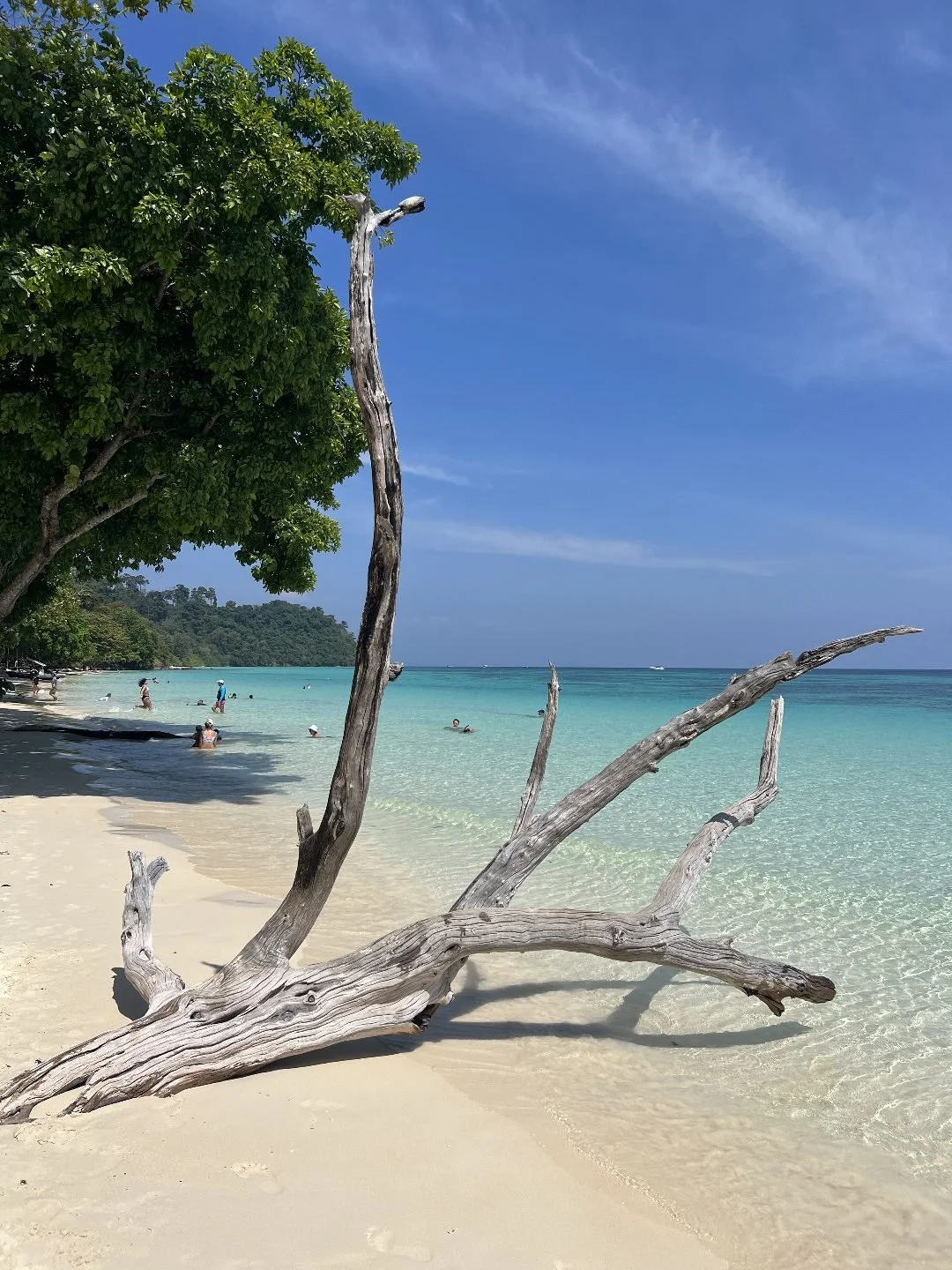 Best Beaches in Thailand - Koh Rok Yai Beach