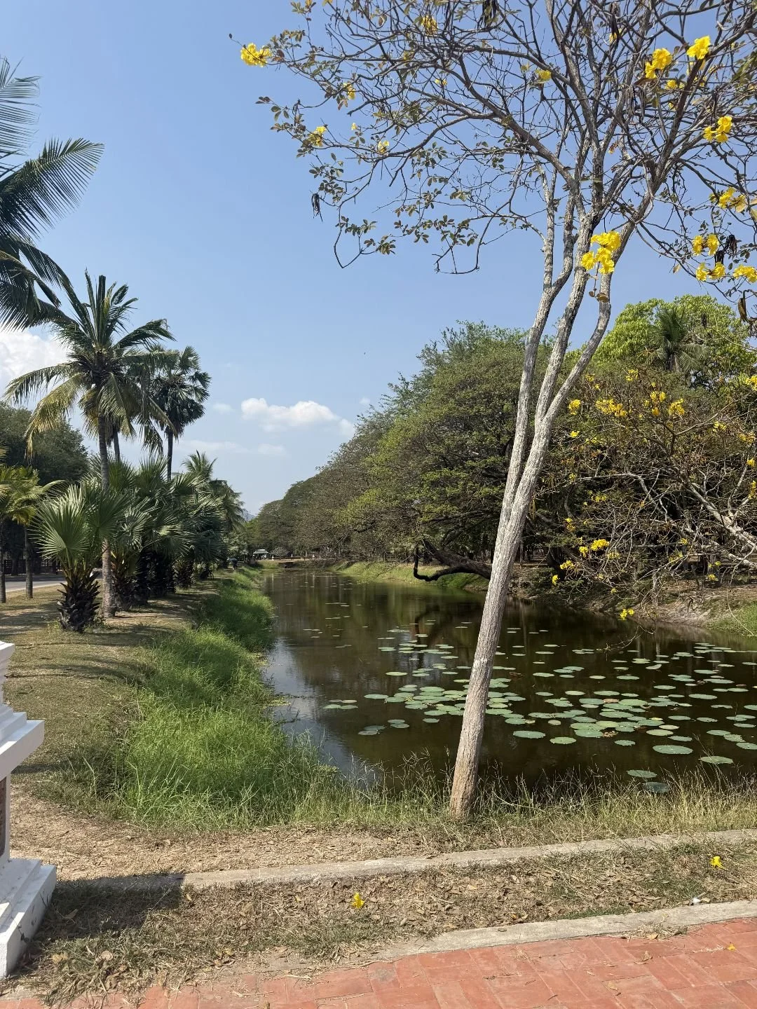 Sukhothai Lotus Ponds