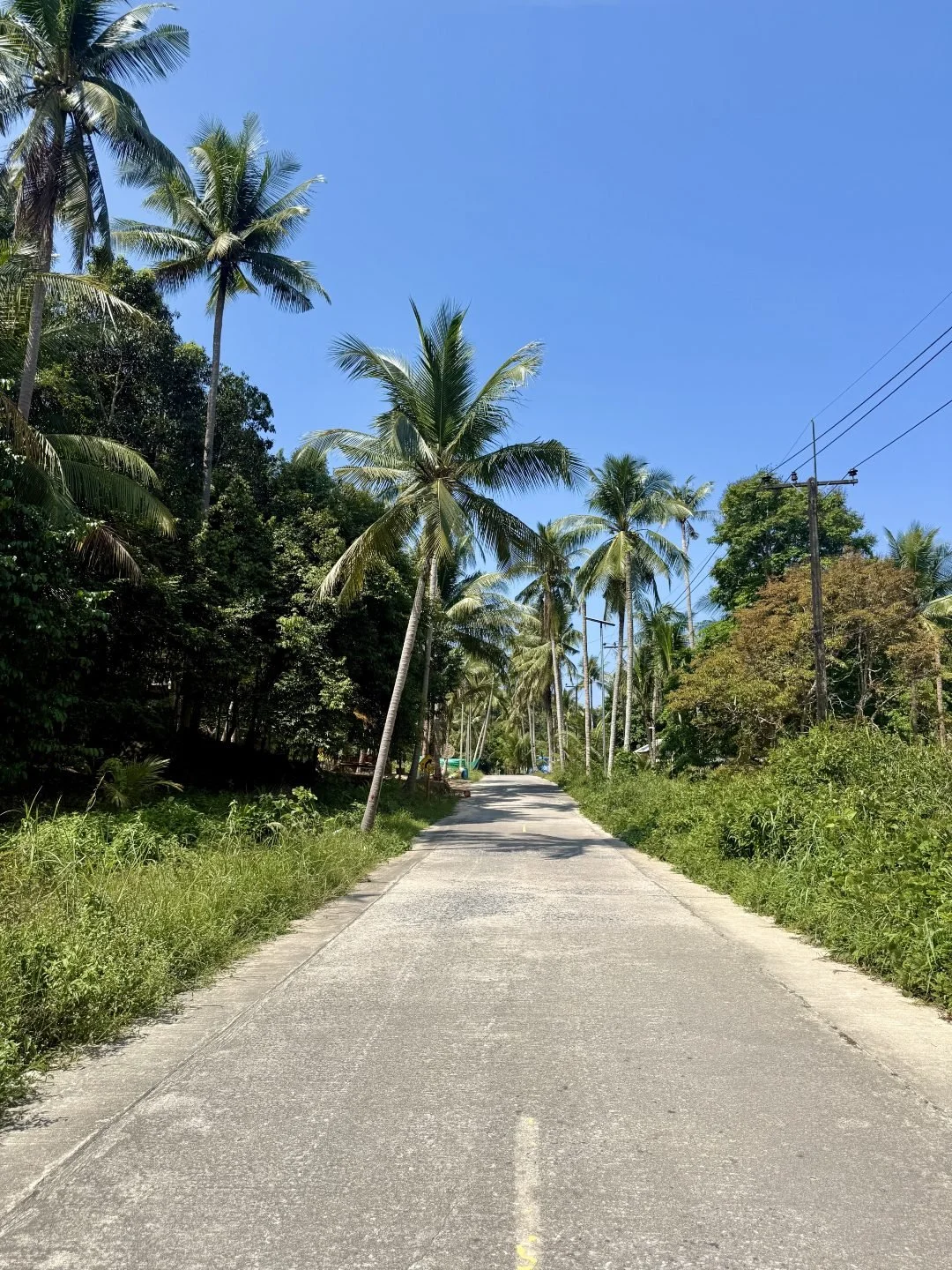Khlong Chao Waterfall - Palm Tree Roads of Koh Kood