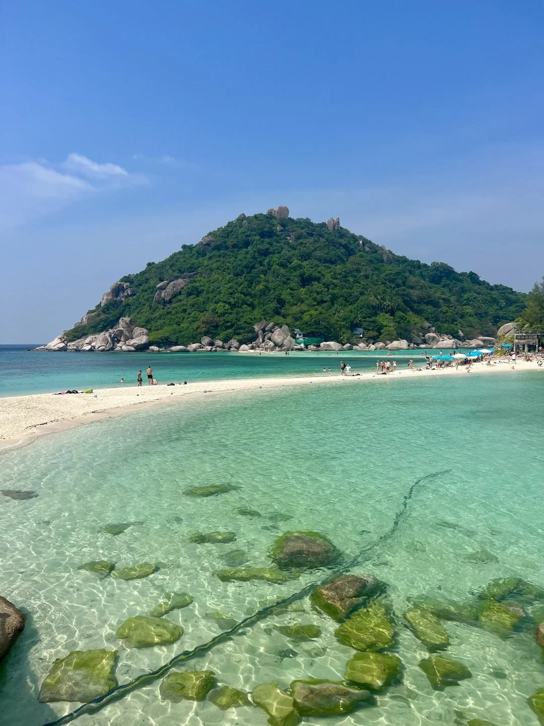 Nang Yuan Island - Beach Rules