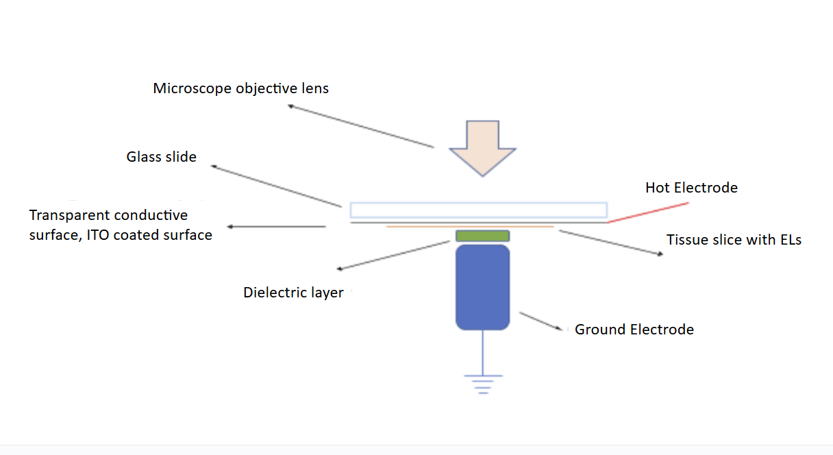 Tissue diagnostics schematic