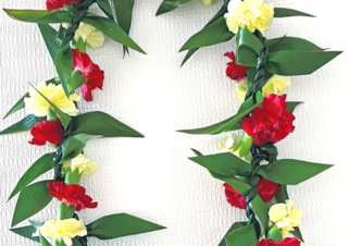 Lei Making | Mini Carnation &amp; Ti Leaf Twist