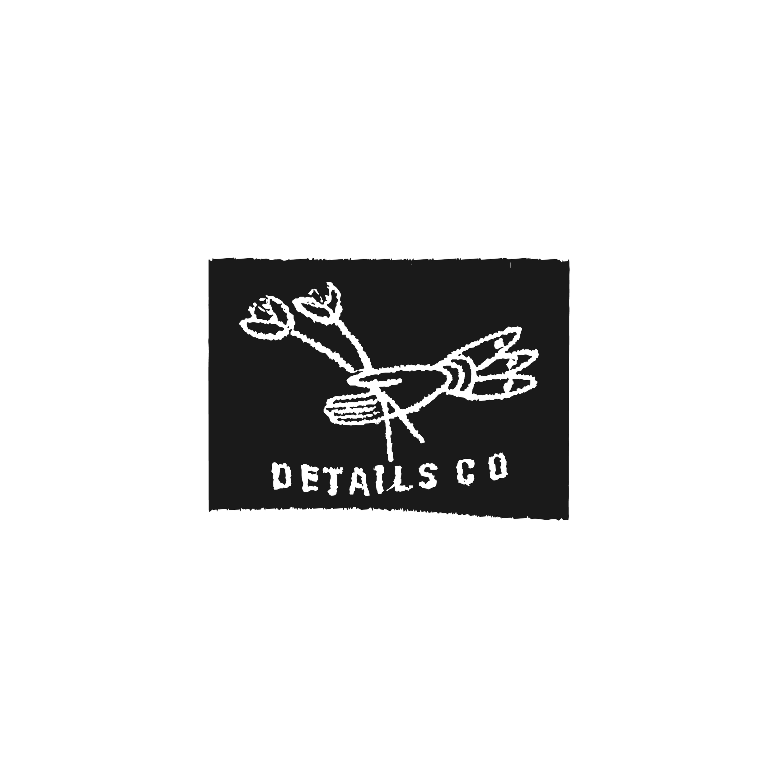 Artboard 17 copy 2AAS LOGO.png