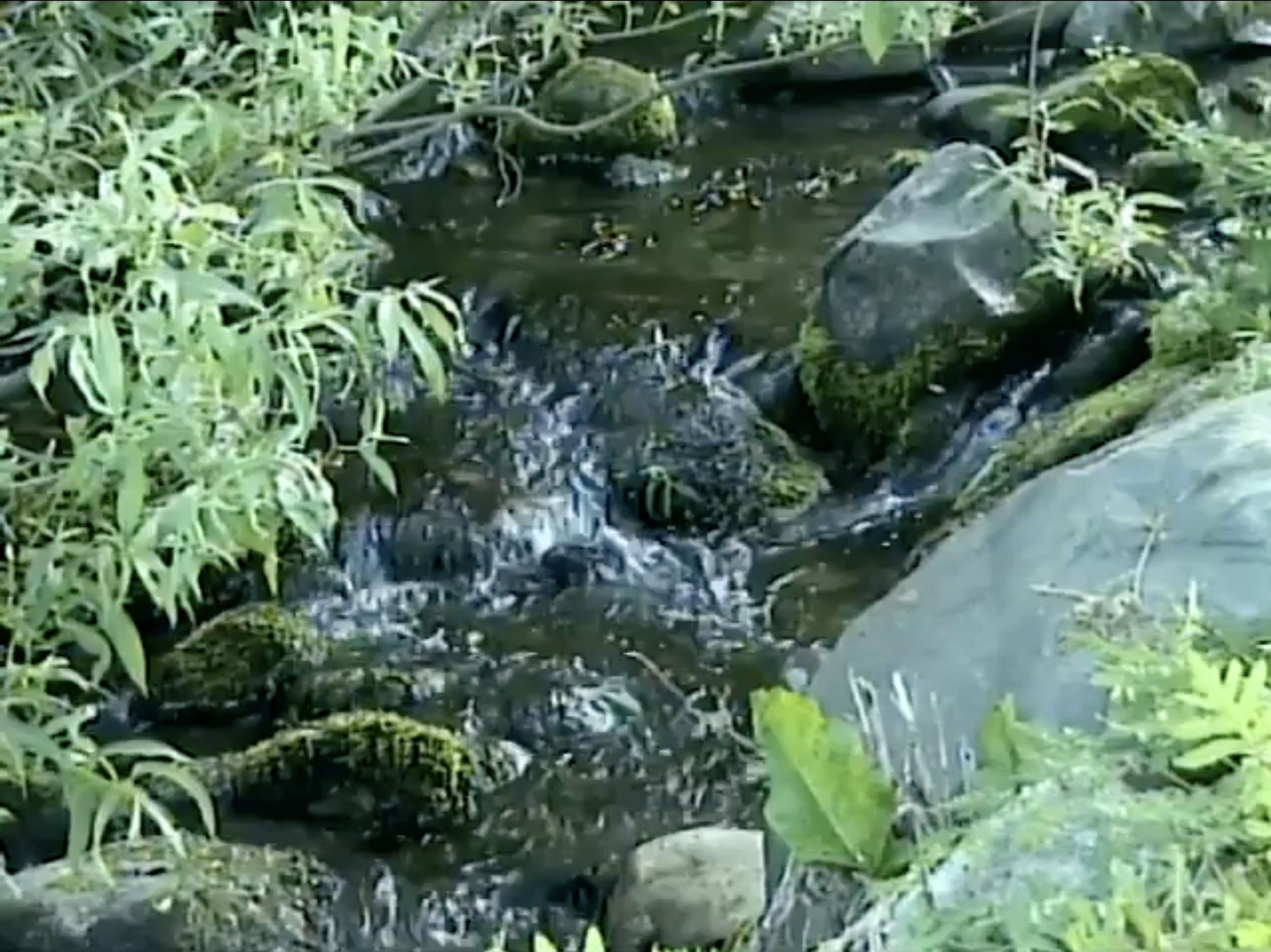 The WiFi isn't working; my wife is having trouble falling asleep.