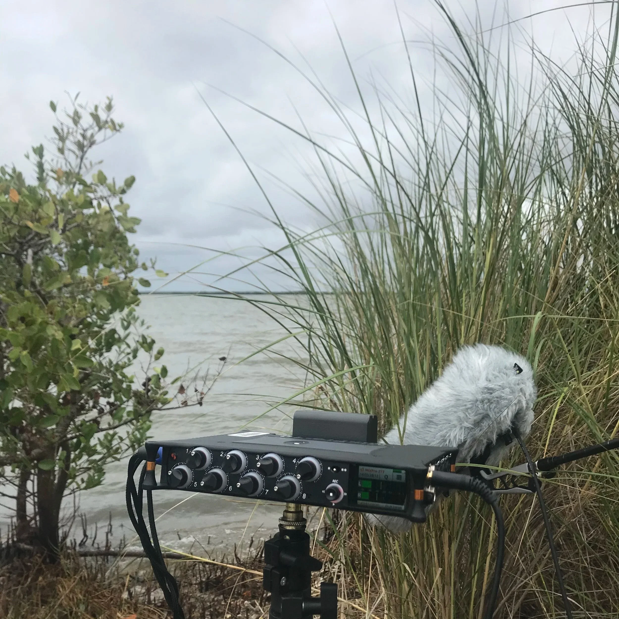 Mosquito Lagoon Soundscape