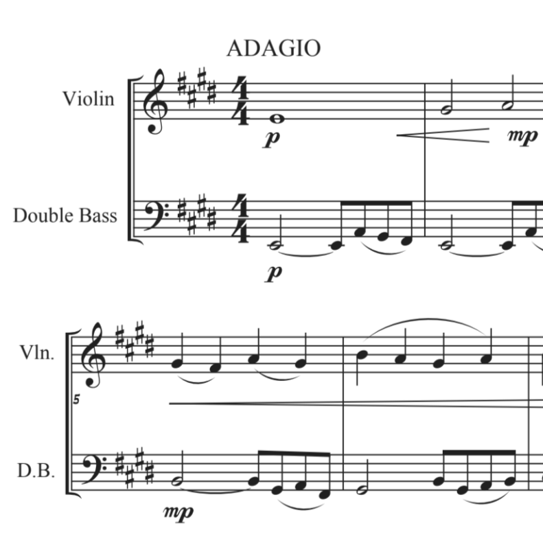 Duet for Violin and Bass