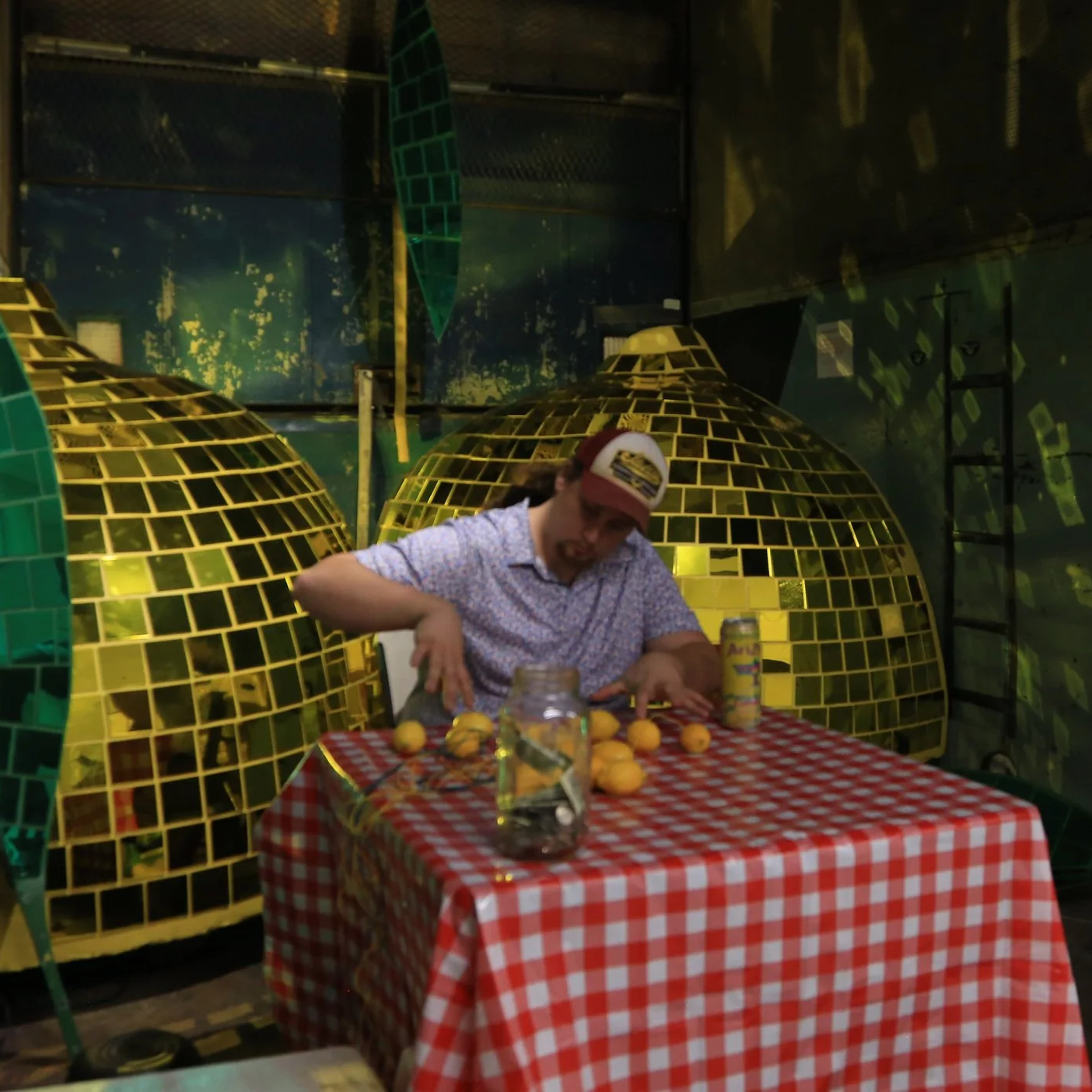 When Life Gives You Lemons...