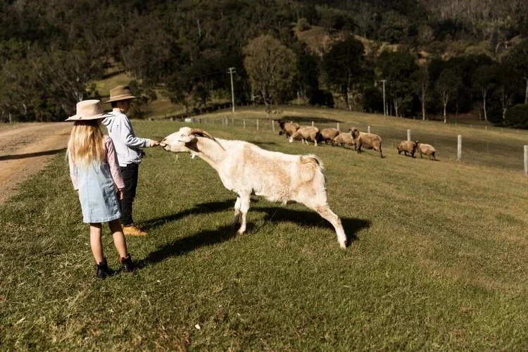 038.Yabbaloumba.jpeg