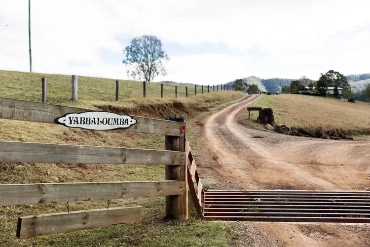 004.yabbaloumba.jpeg
