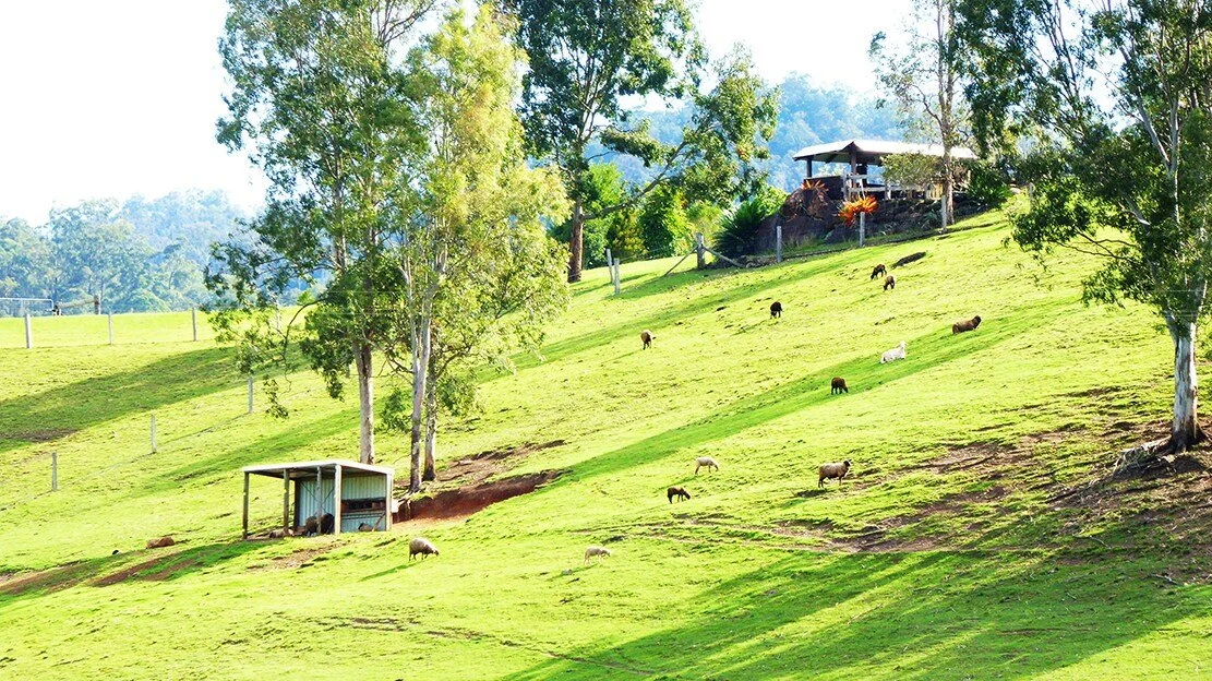 yabbaloumba_retreat_cabin.jpg
