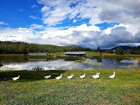 yabbaloumba_retreat-lake_views.jpg
