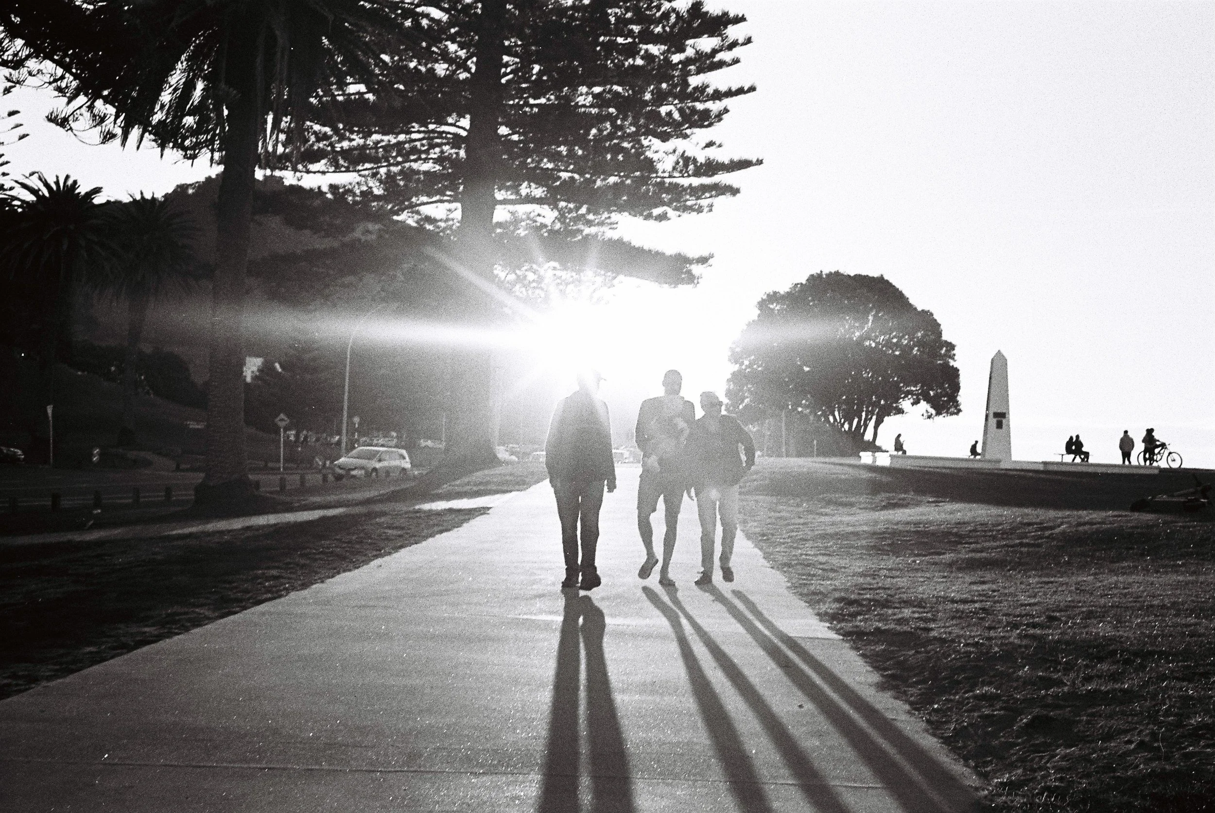 Silhouettes of four people walking on a paved path during sunset, with long shadows and a bright sun behind trees, near a monument and benches.