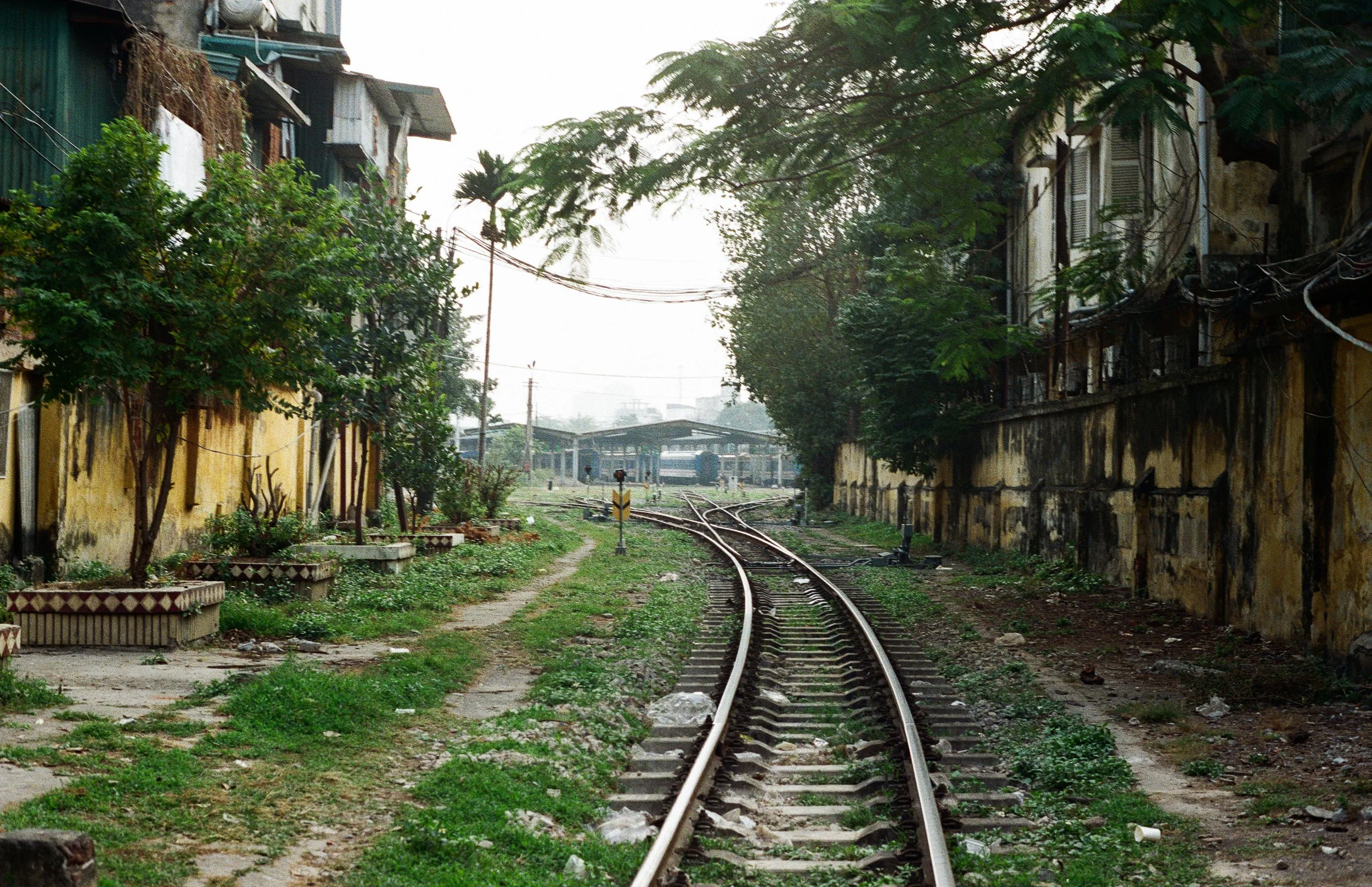 A railway track running through an urban area, with buildings on both sides and trees overhead, in a somewhat rundown neighborhood.