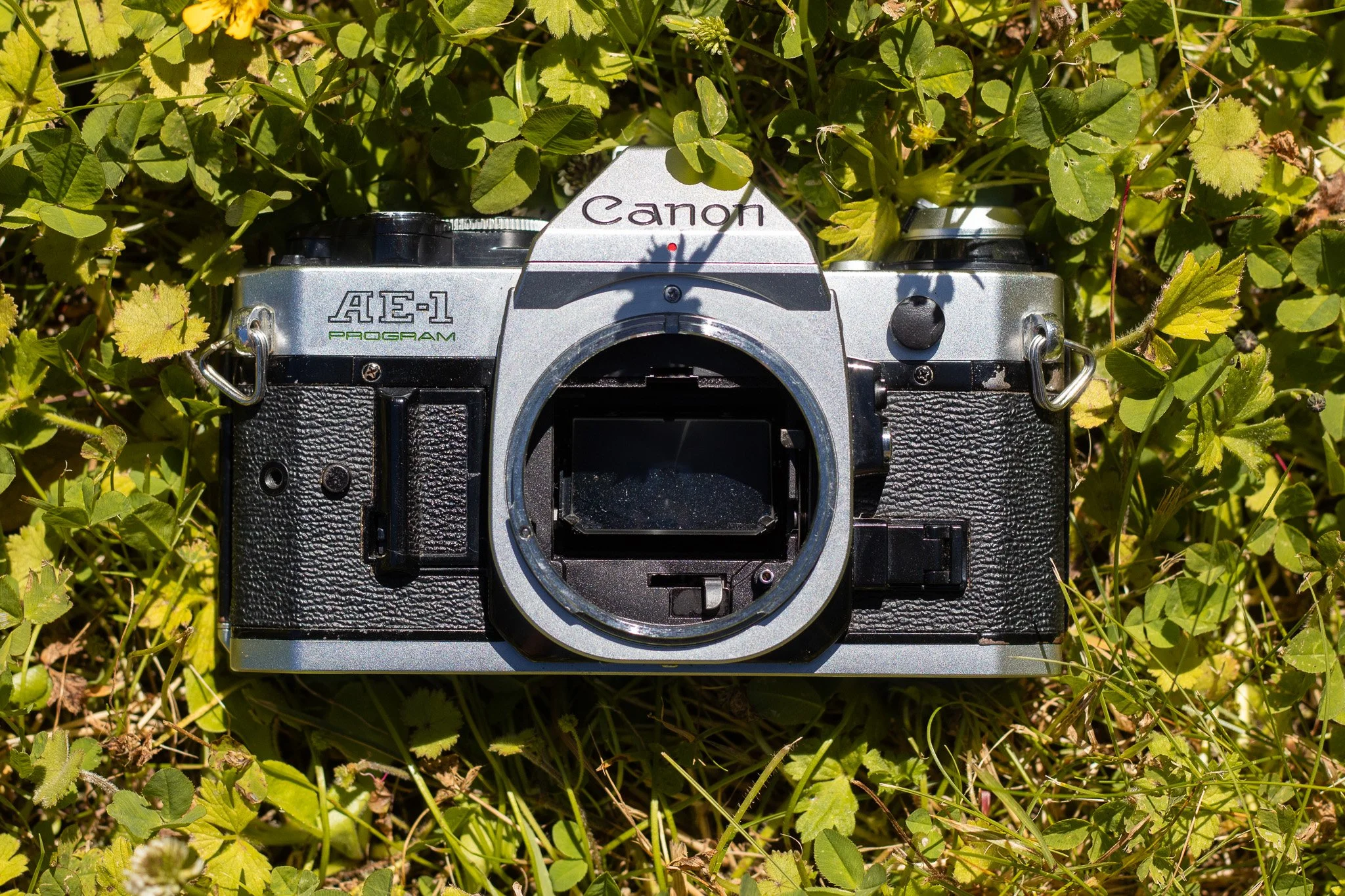 Canon AE-1 Program