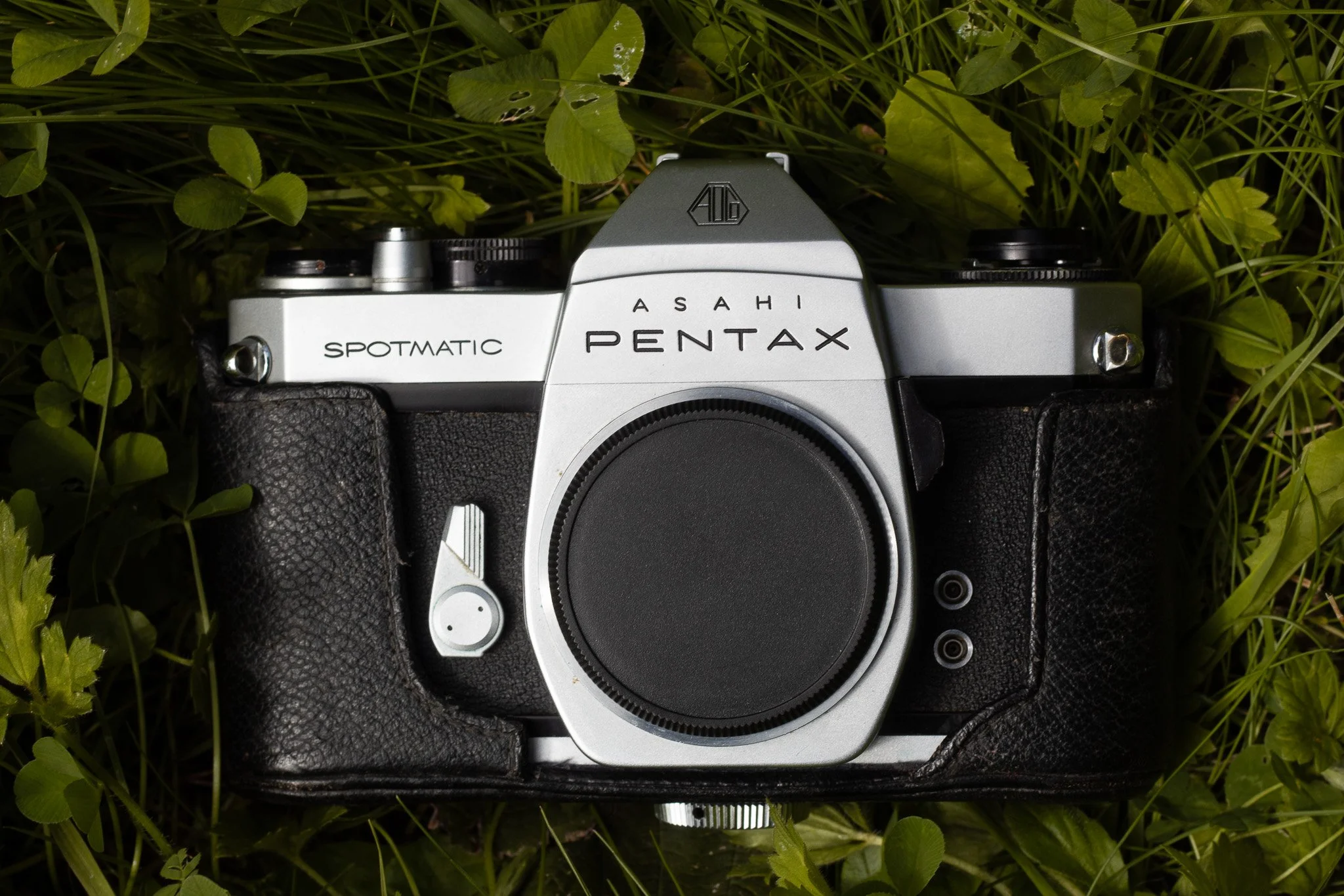 A vintage Asahi Pentax Spotmatic film camera with a black leather cover placed on green grass and clover leaves.