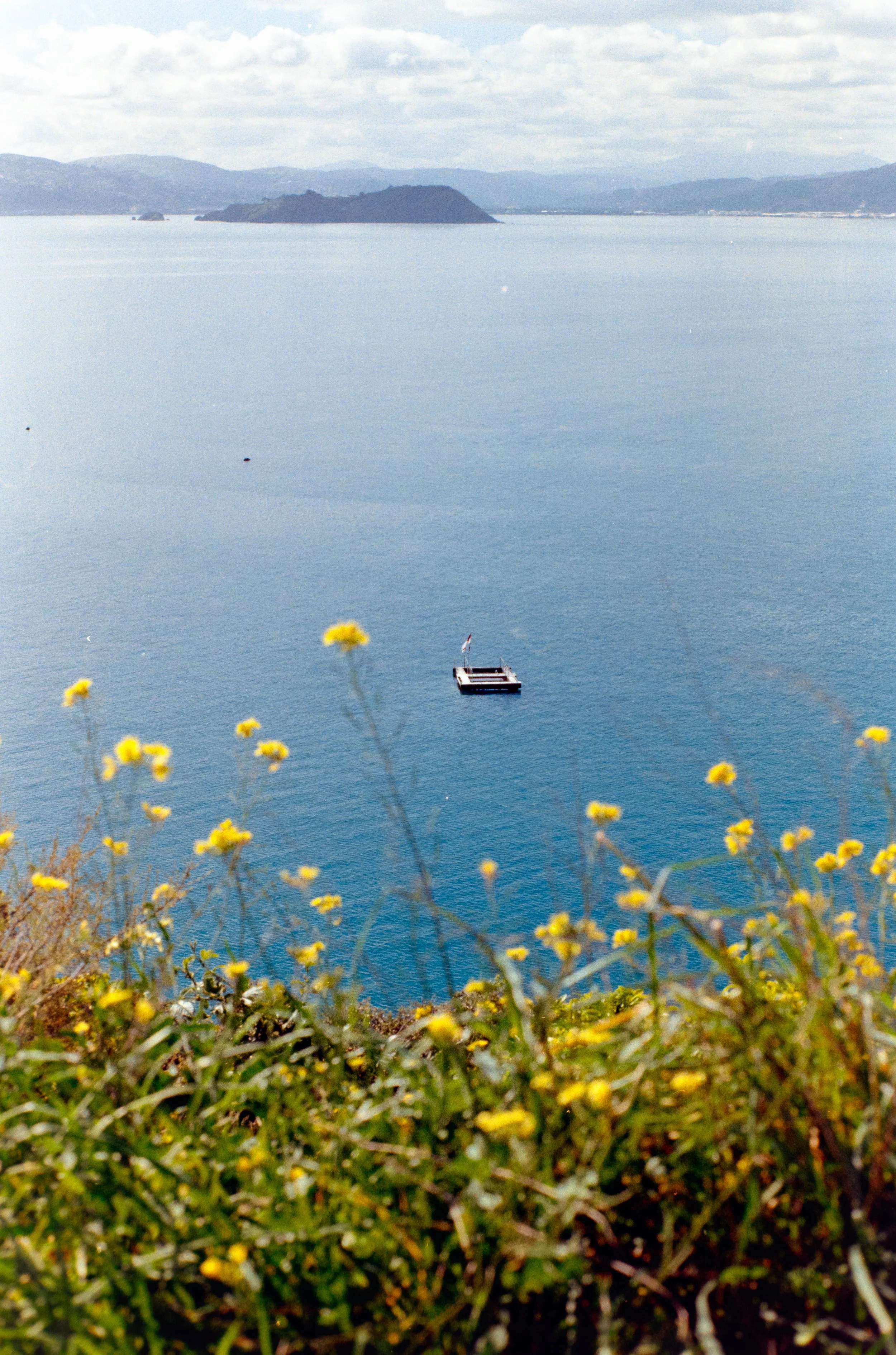 Bach - @analog_pixels