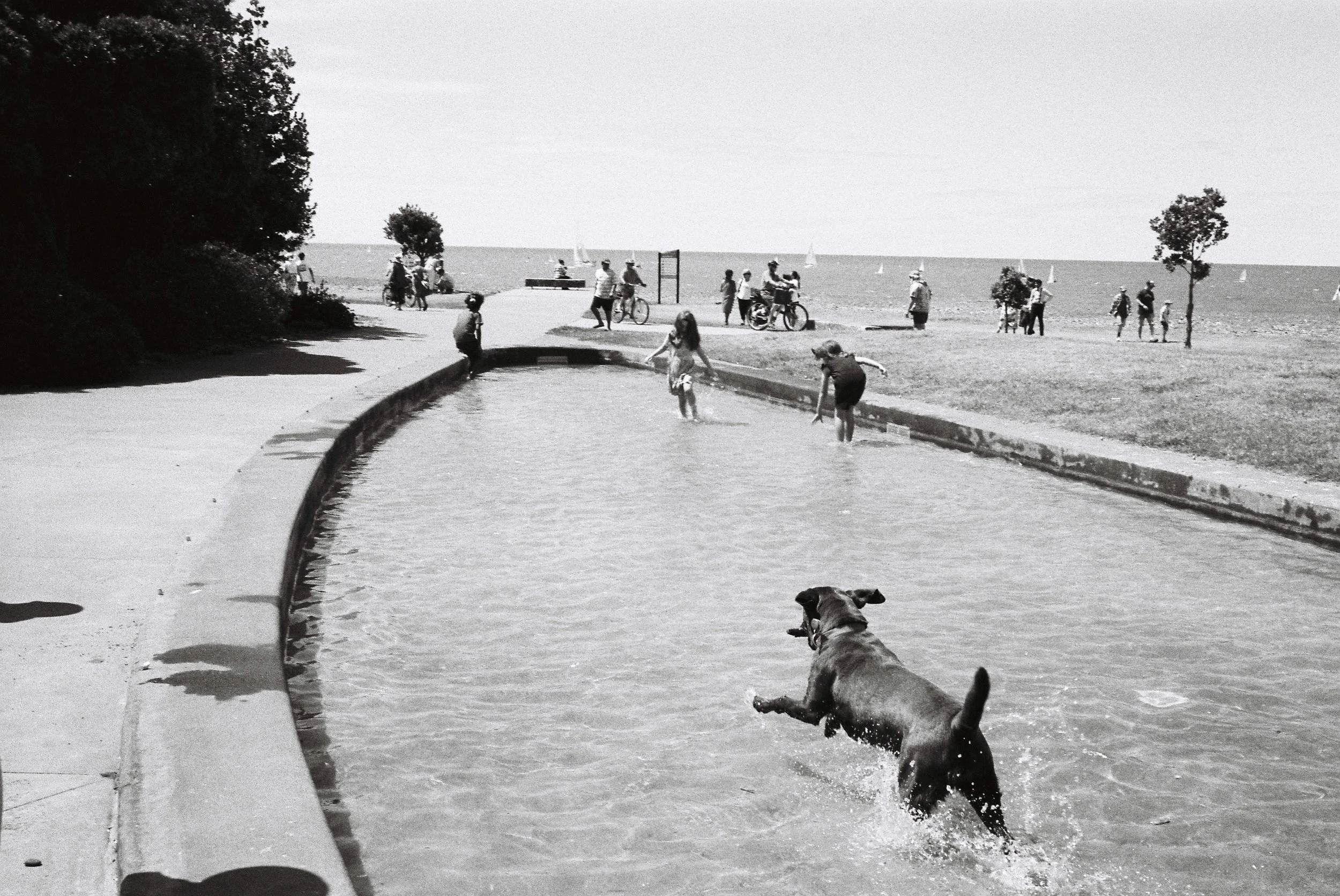 People enjoying a sunny day at the beach with some walking, cycling, and children playing near a water feature, with sailboats in the distance on the water.