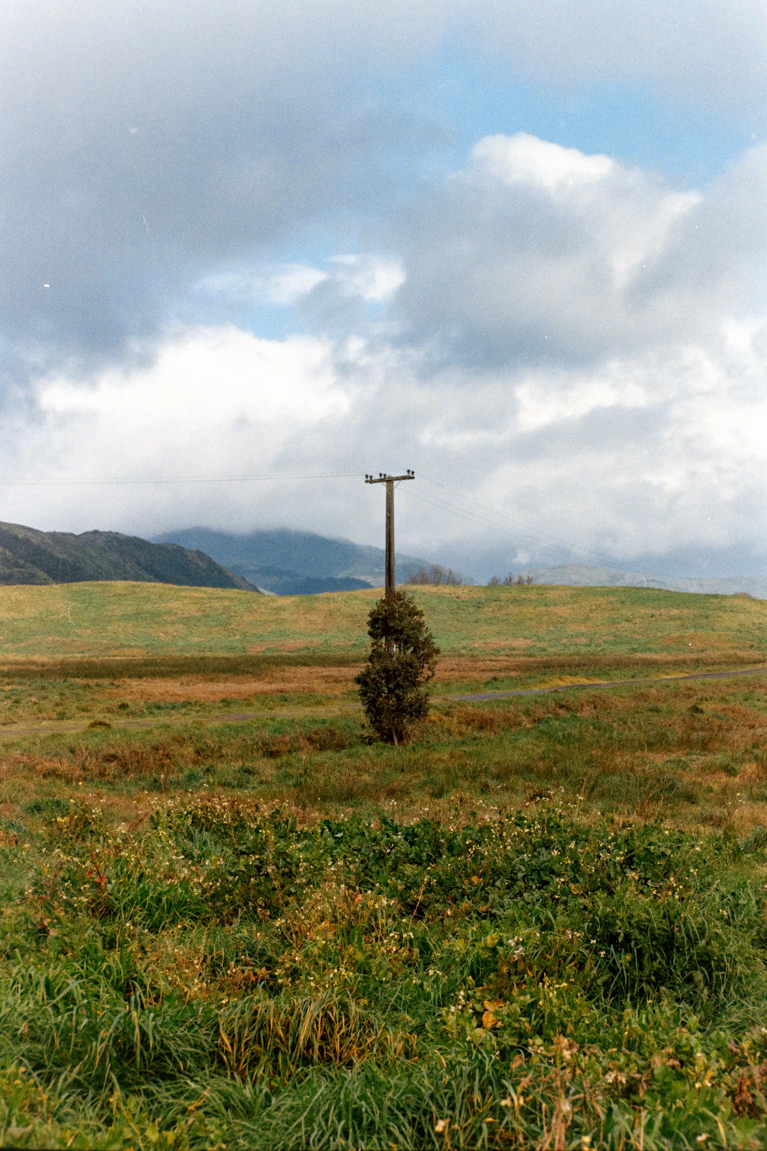 Open field with grass and bushes, a tall utility pole with power lines, and mountains in the background under a partly cloudy sky.