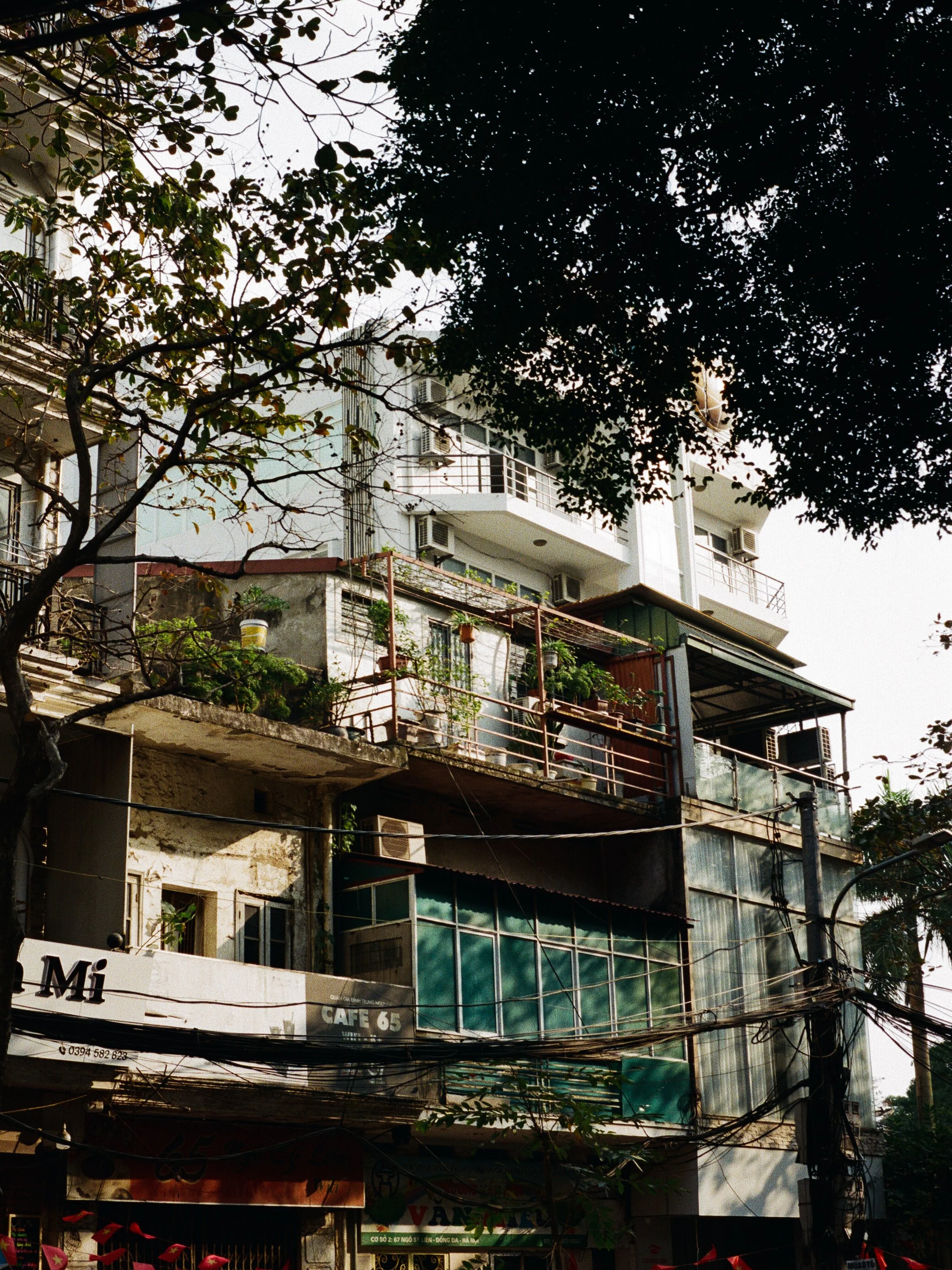 Multi-story building with balconies, trees with green and brown leaves, and a tangle of electrical wires in the foreground.