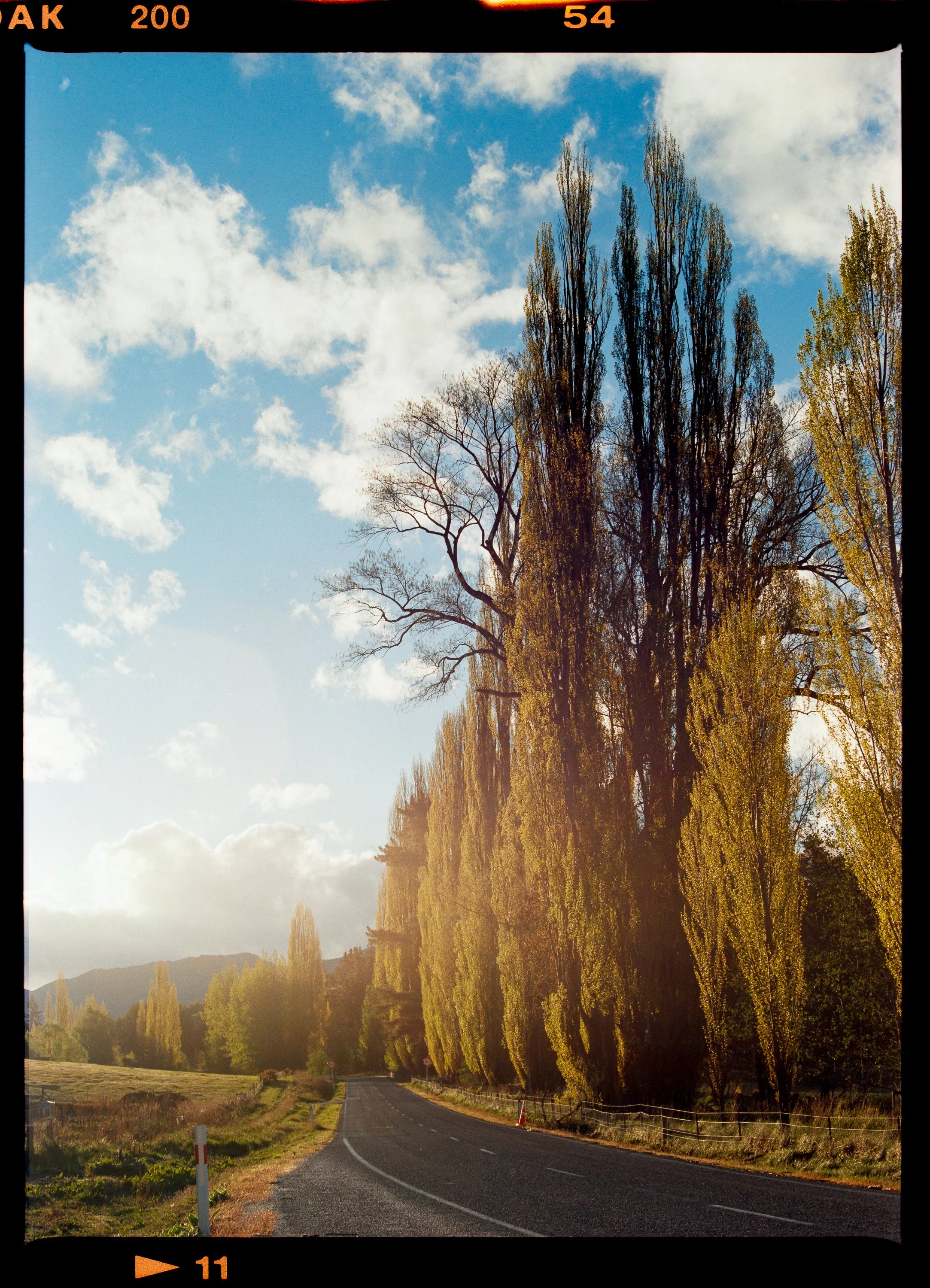 A rural road winding through a landscape of tall trees with autumn foliage, under a partly cloudy sky.