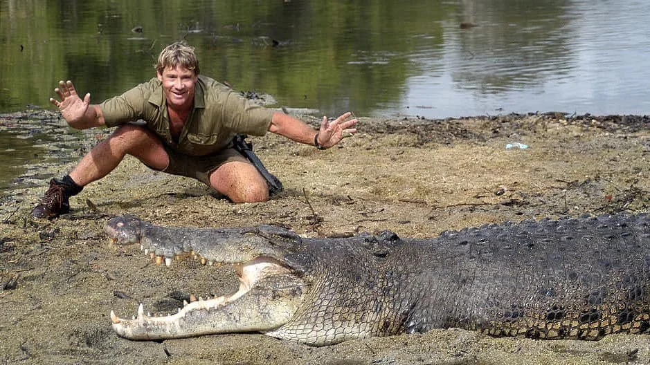 Steve Irwin’s 4m Croc ‘Old Faithful’ Moved to Australia Zoo, and People Aren’t Happy