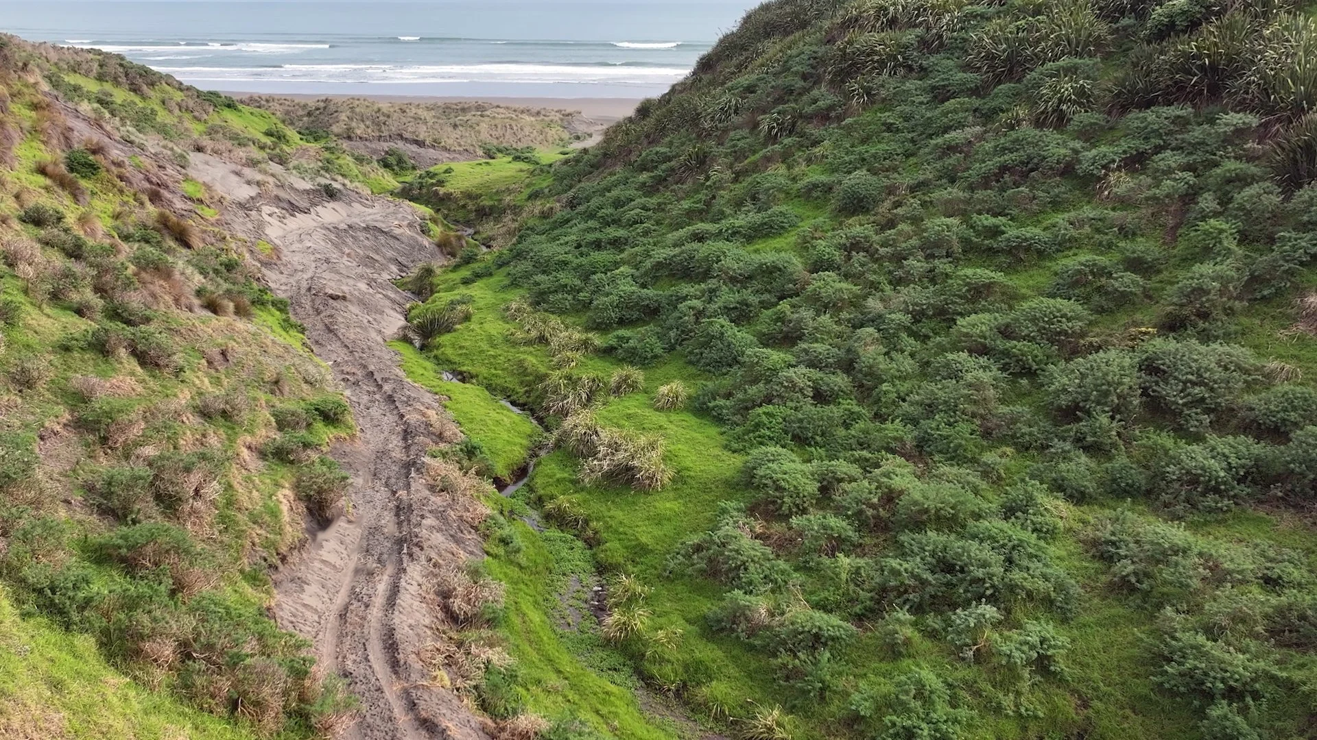 Nature_walk_TeAkau.jpg