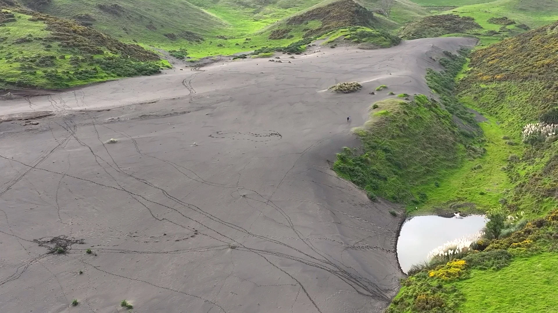 Mussel_rock_sand_dunes.jpg