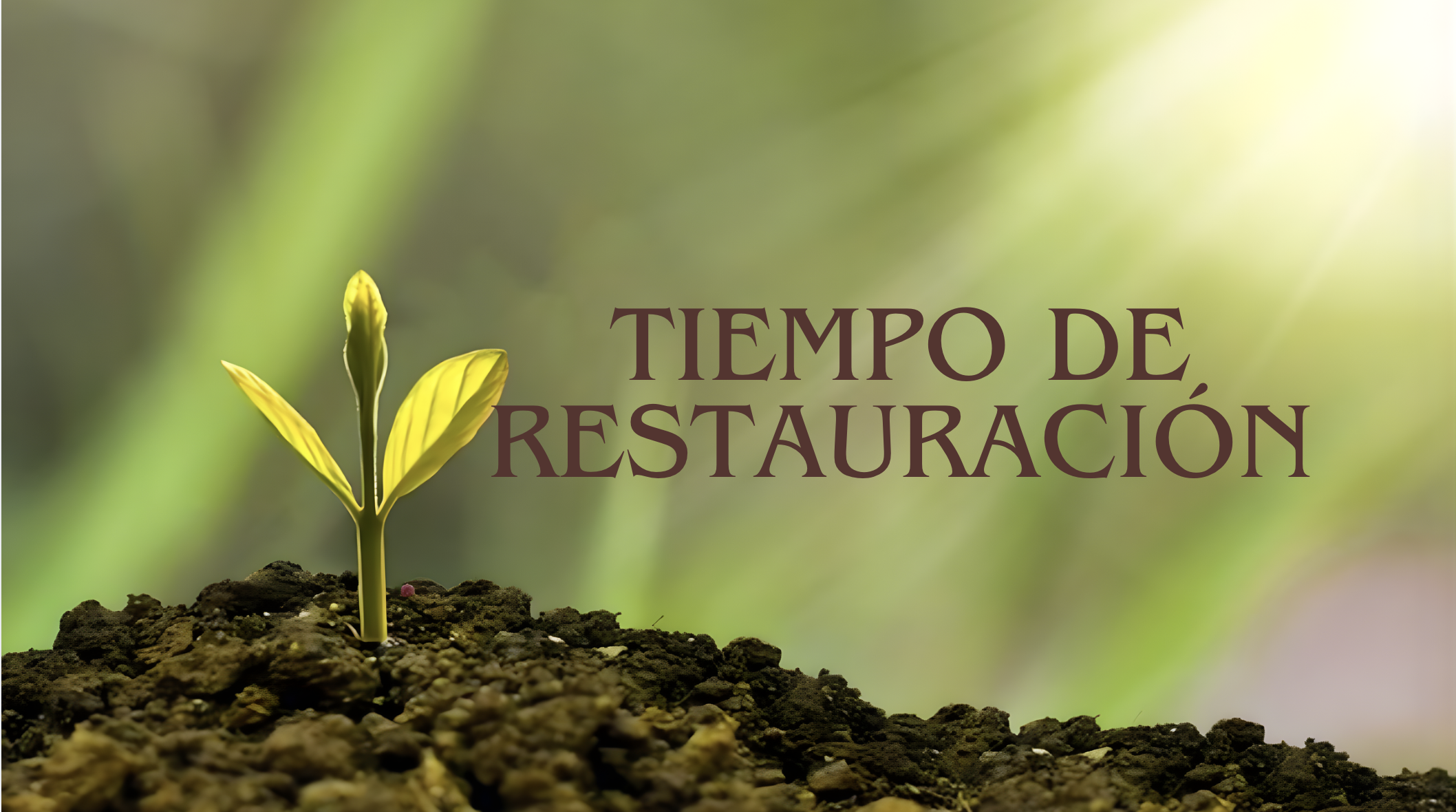 Tiempo de Restauración Vigilia